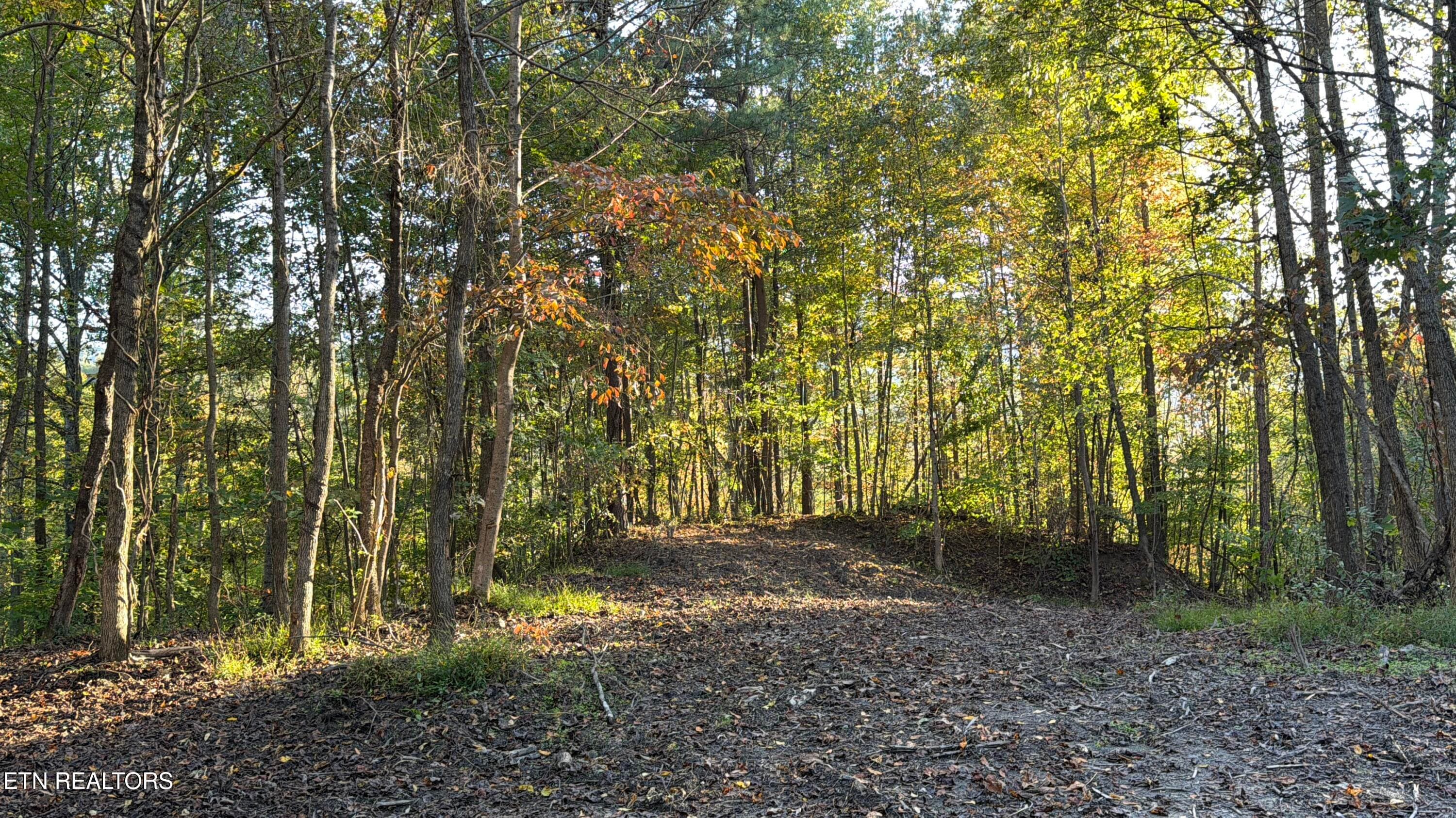 IMG_4119(1) - 0 Sled Creek Rd, Duff, TN 37729, Duff