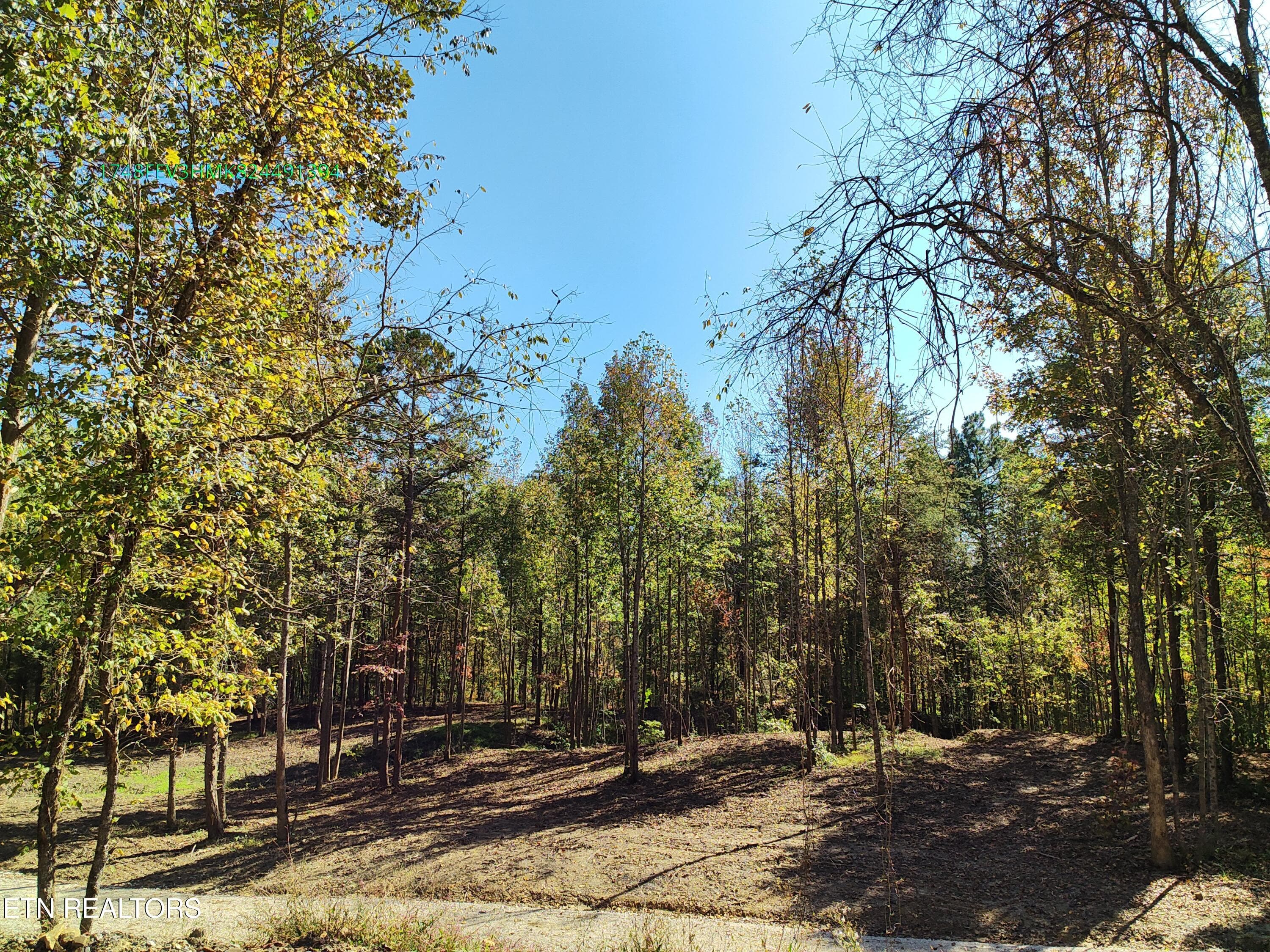 MAX_0045 - 0 Sled Creek Rd, Duff, TN 37729, Duff