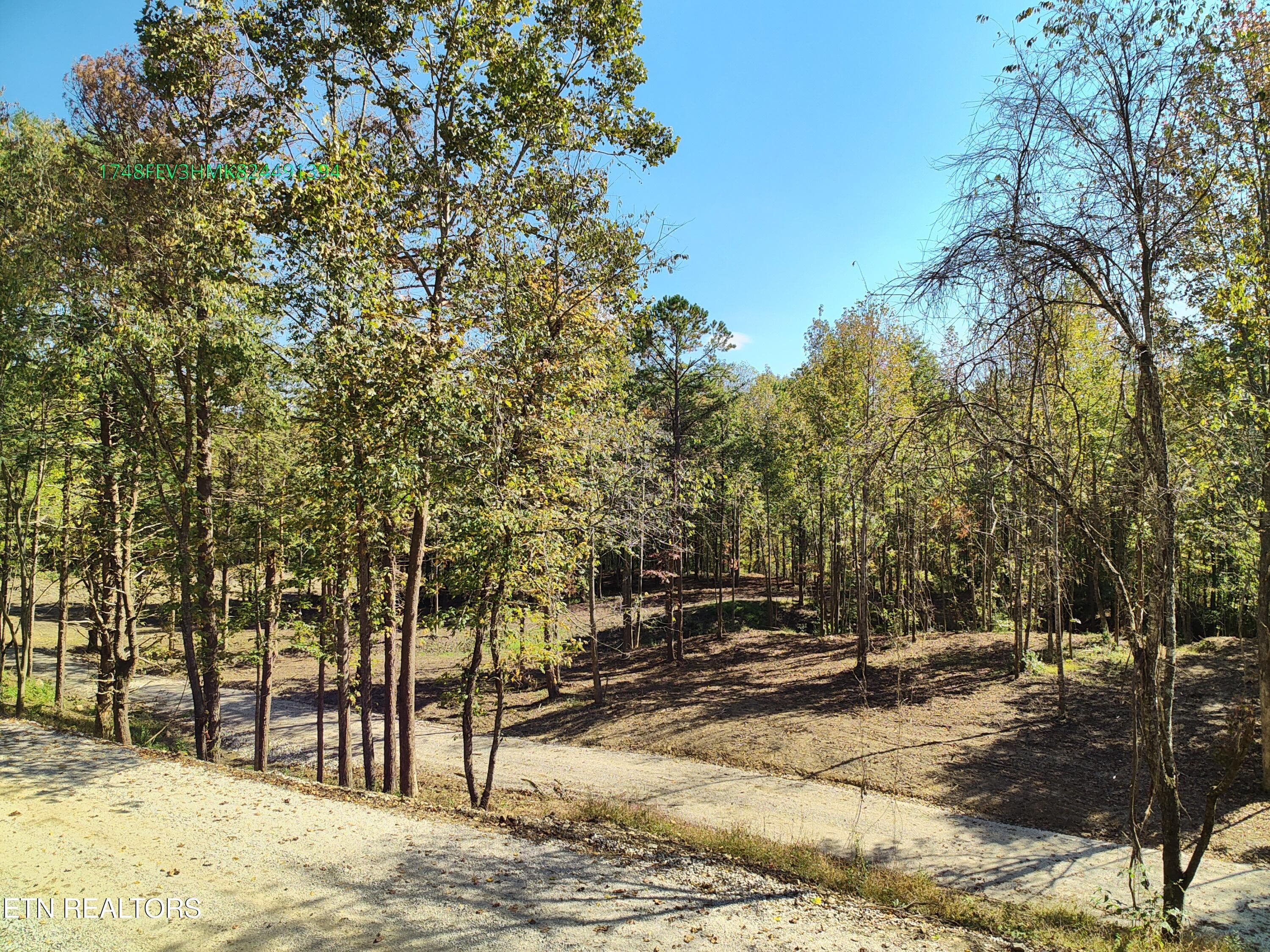 MAX_0050 - 0 Sled Creek Rd, Duff, TN 37729, Duff