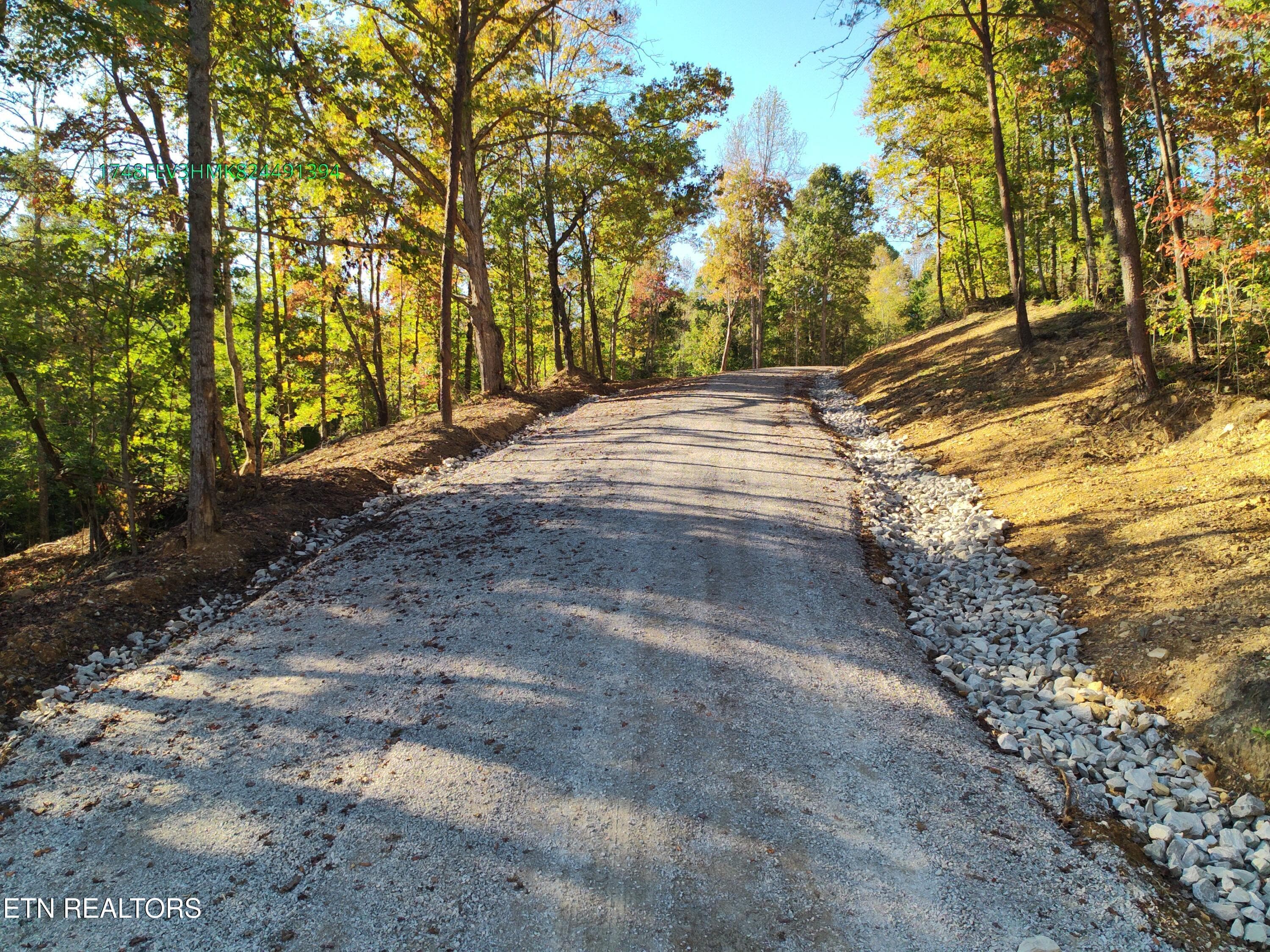 MAX_0112 - 0 Sled Creek Rd, Duff, TN 37729, Duff