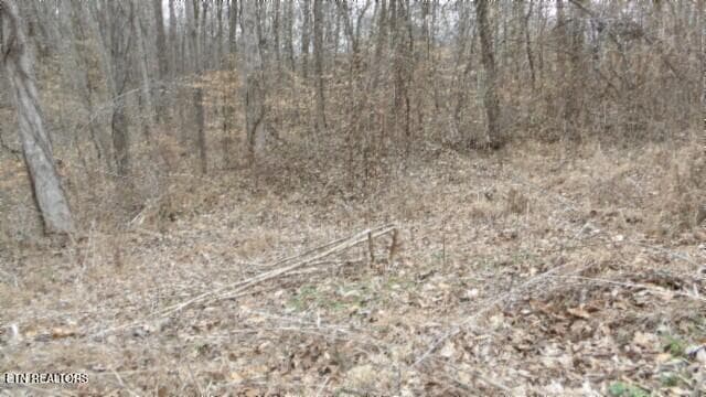 5.51ac Beaver Lane, Gainesboro, TN 38562
