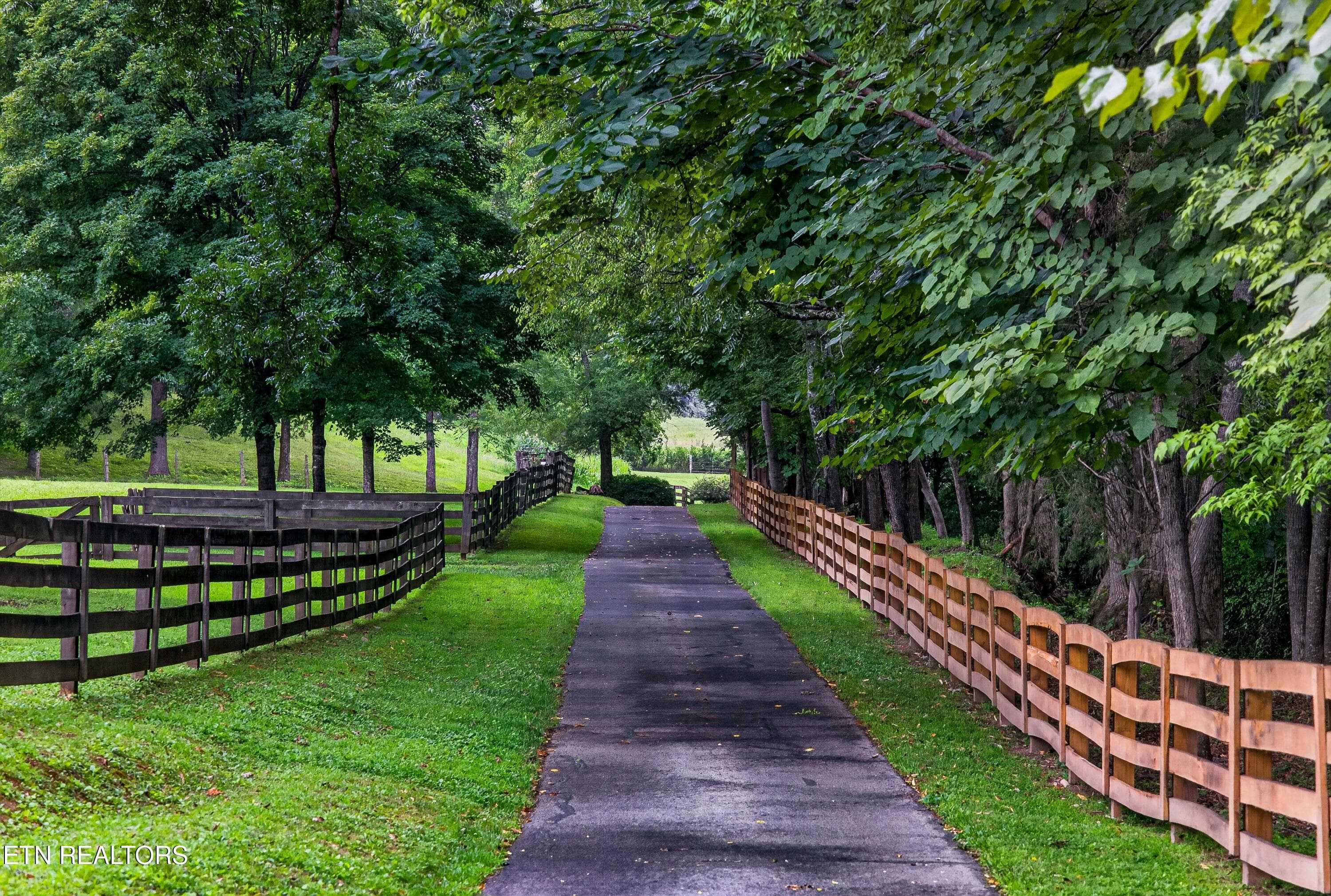 Private Drive - 3790 Hollybrook Rd, Rockford, TN 37853