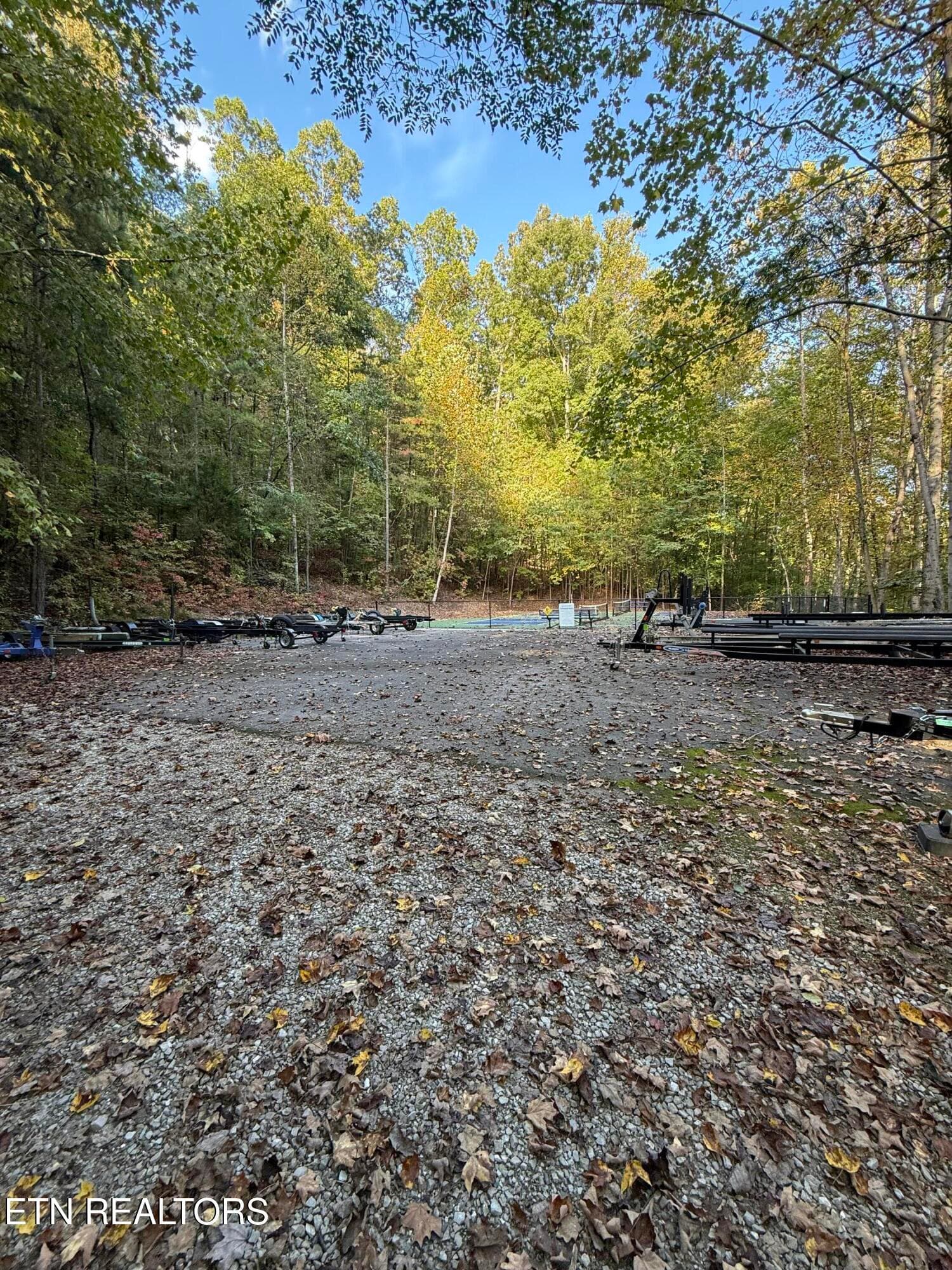 IMG_2816 - 63 Cove Norris Rd, Caryville, TN 37714