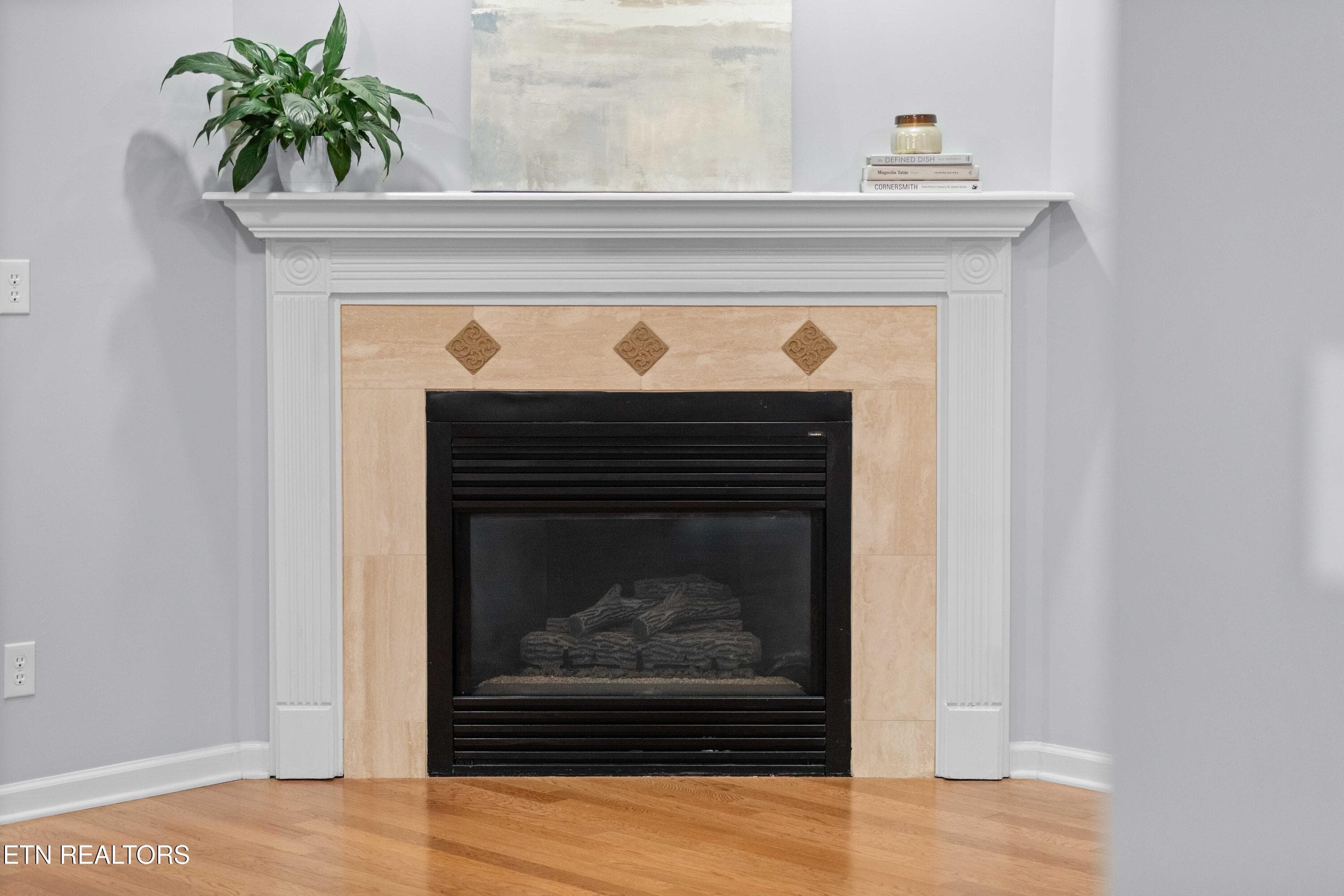 Gas Fireplace - 7359 Shalimar Point Way, Knoxville, TN 37918, Knoxville
