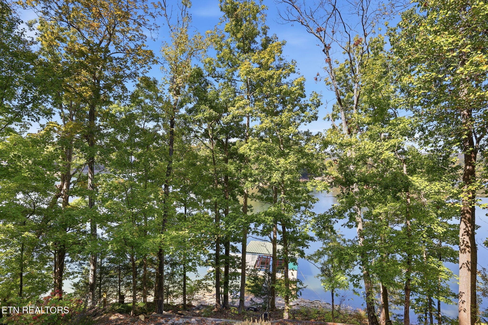 42-web-or-mls-042_Hurricane - 553 Hurricane Hollow Rd, Maynardville, TN 37807, Maynardville
