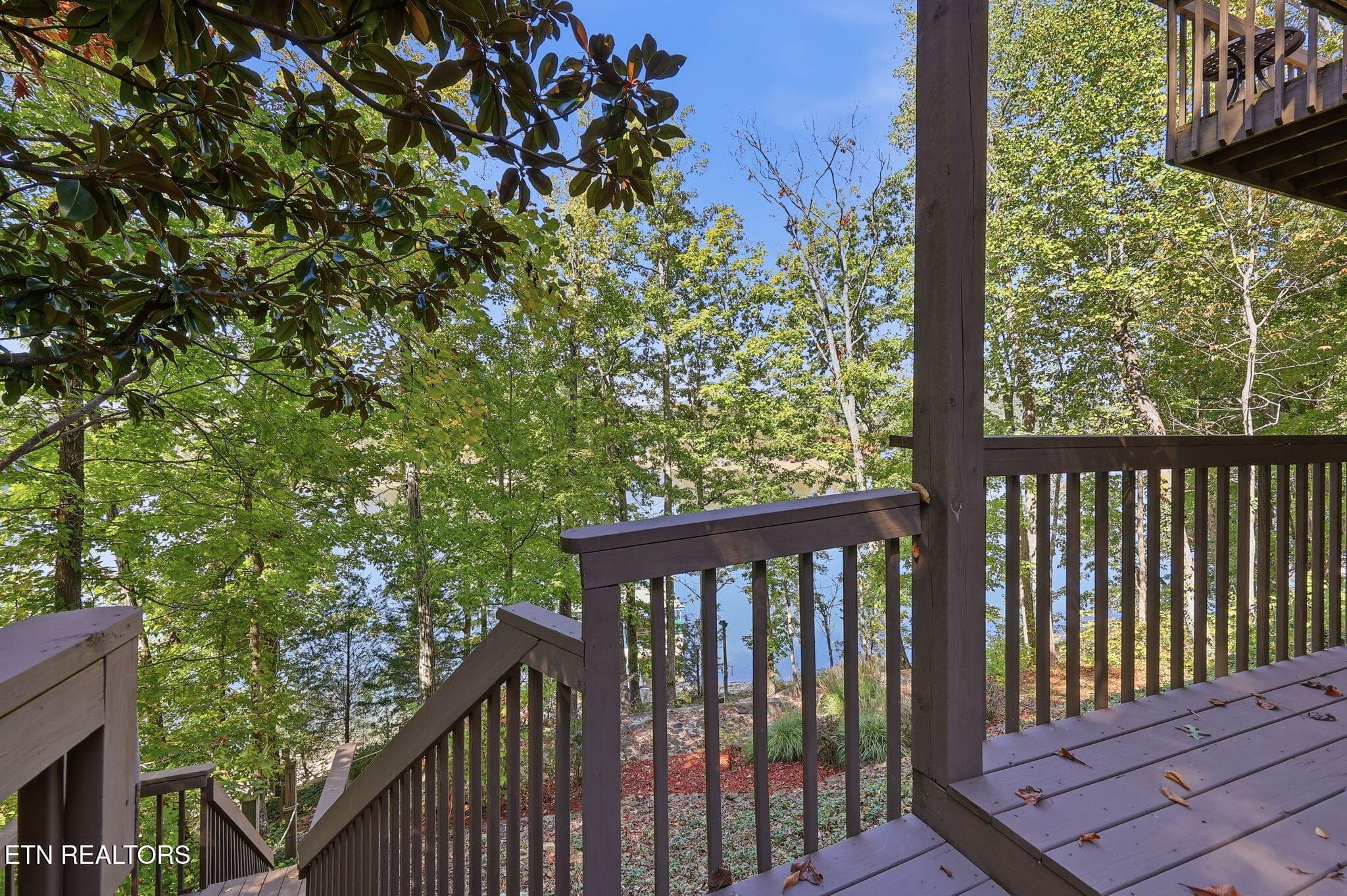 43-web-or-mls-043_Hurricane - 553 Hurricane Hollow Rd, Maynardville, TN 37807, Maynardville
