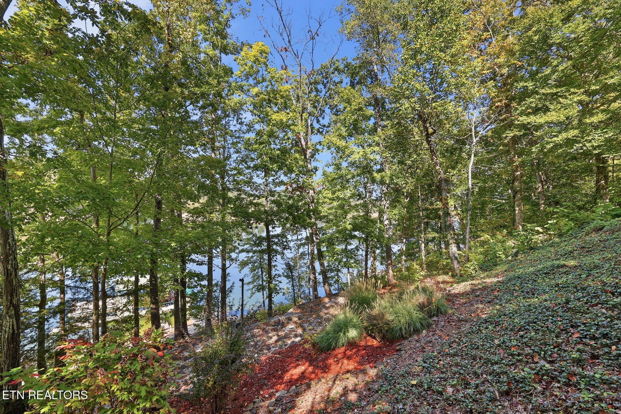 46-web-or-mls-046_Hurricane - 553 Hurricane Hollow Rd, Maynardville, TN 37807, Maynardville