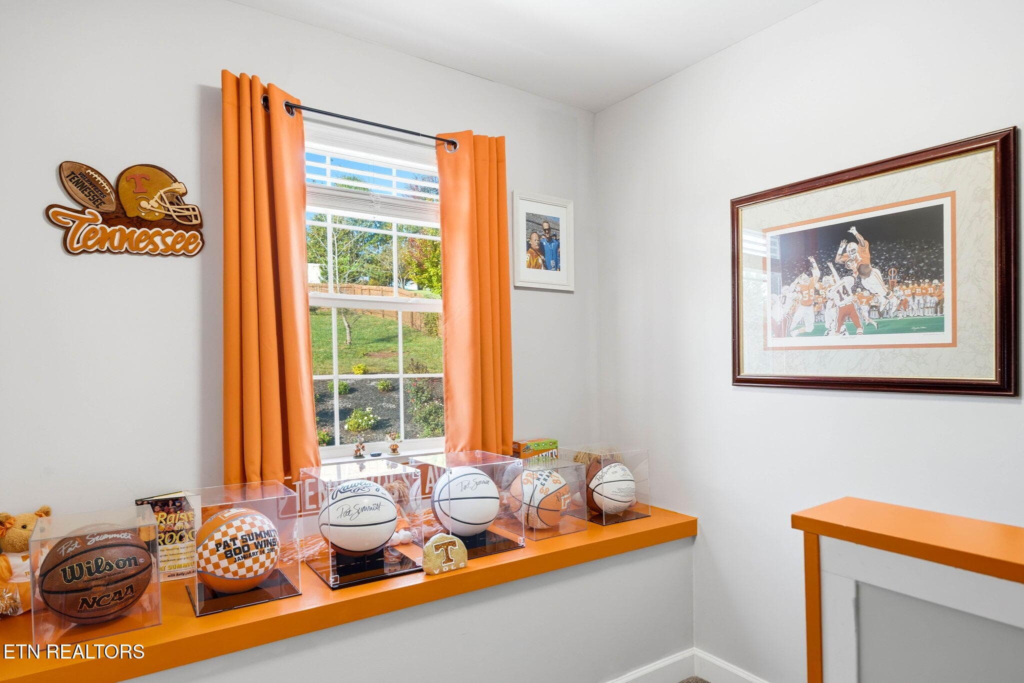 Overlooking back yard - 131 Raspberry Drive, New Market, TN 37820, New Market