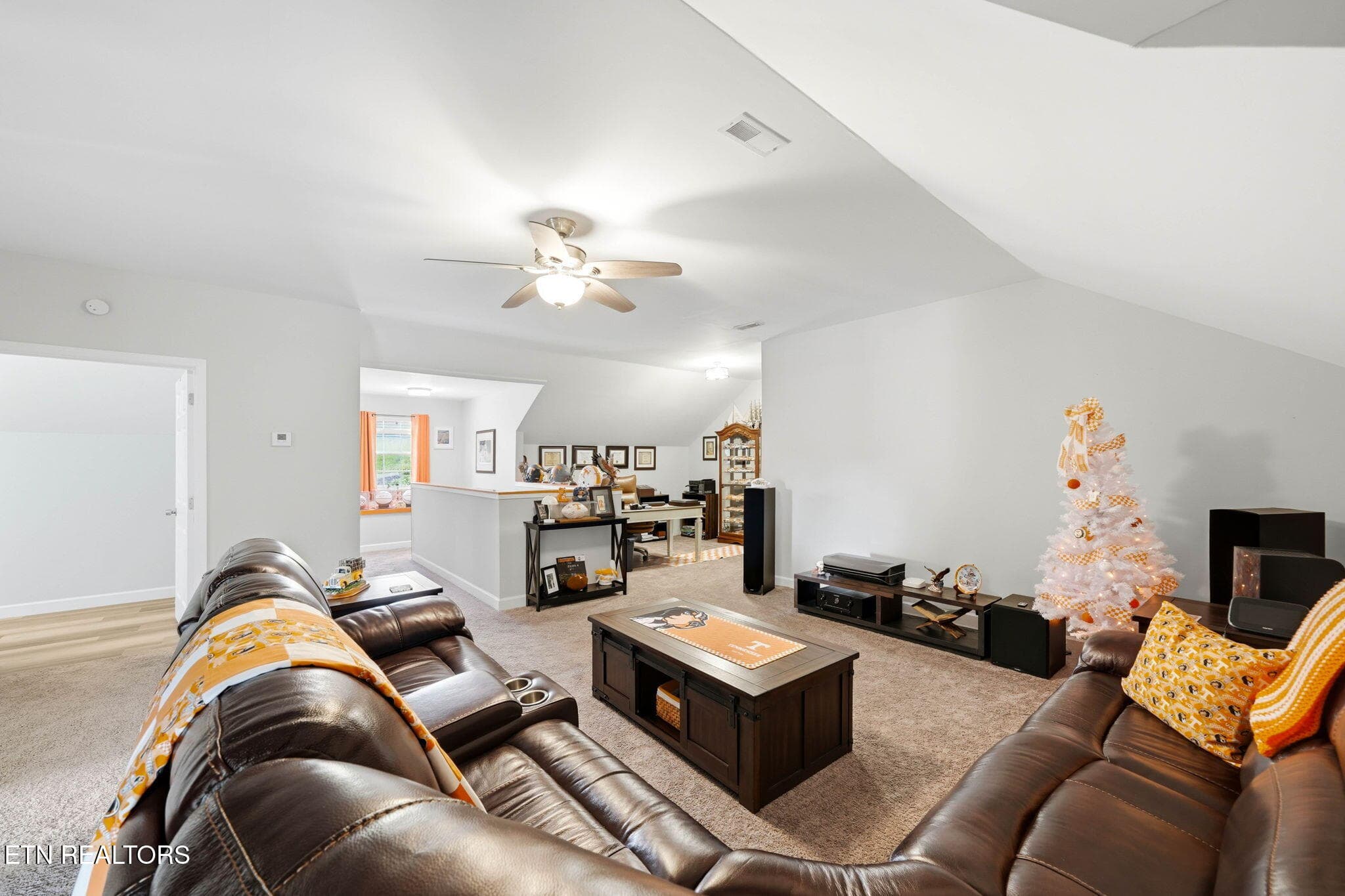 Bonus Room - 131 Raspberry Drive, New Market, TN 37820, New Market