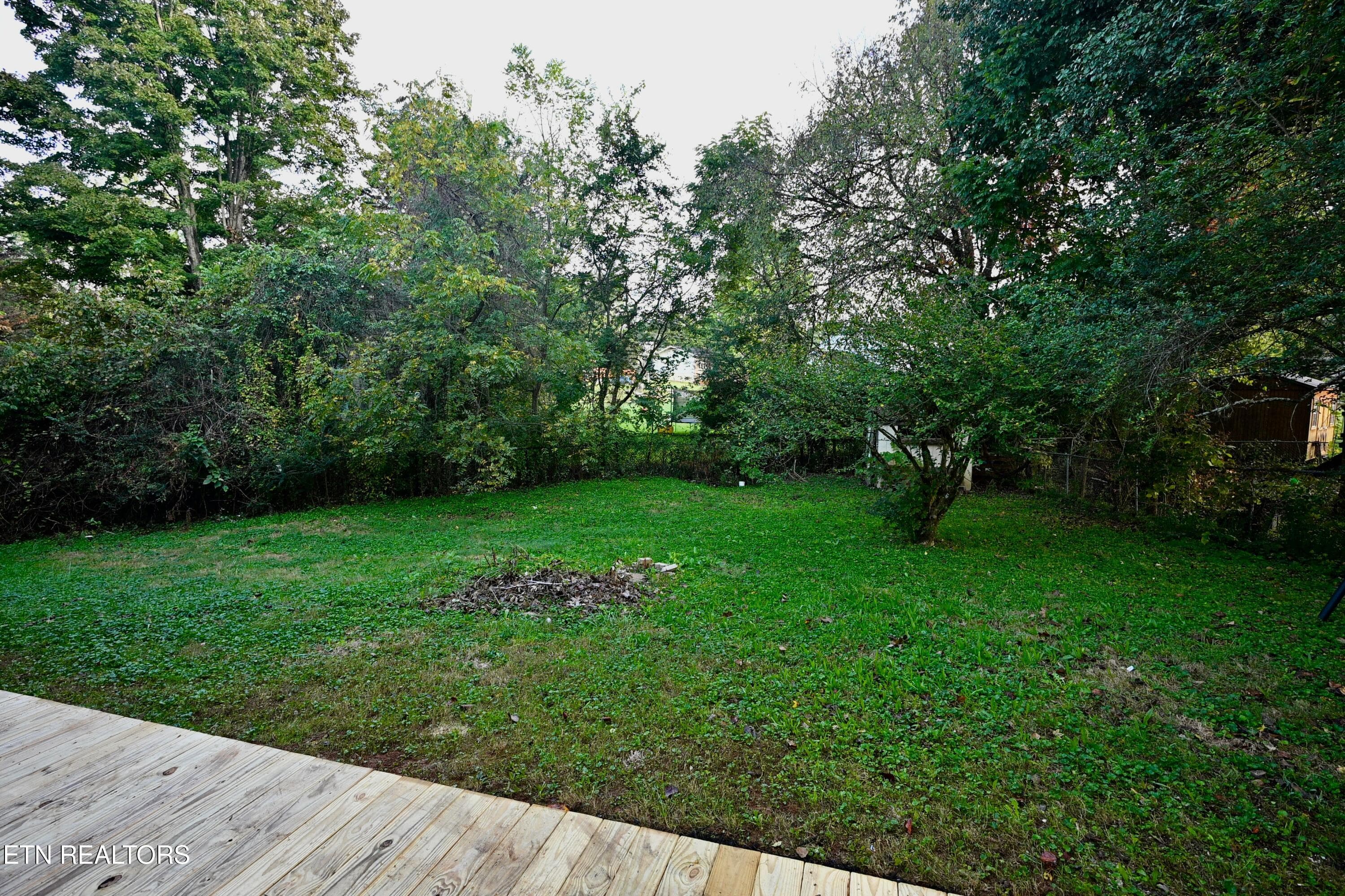 DSC_1524 - 4403 Mace Lane, Knoxville, TN 37938, Knoxville
