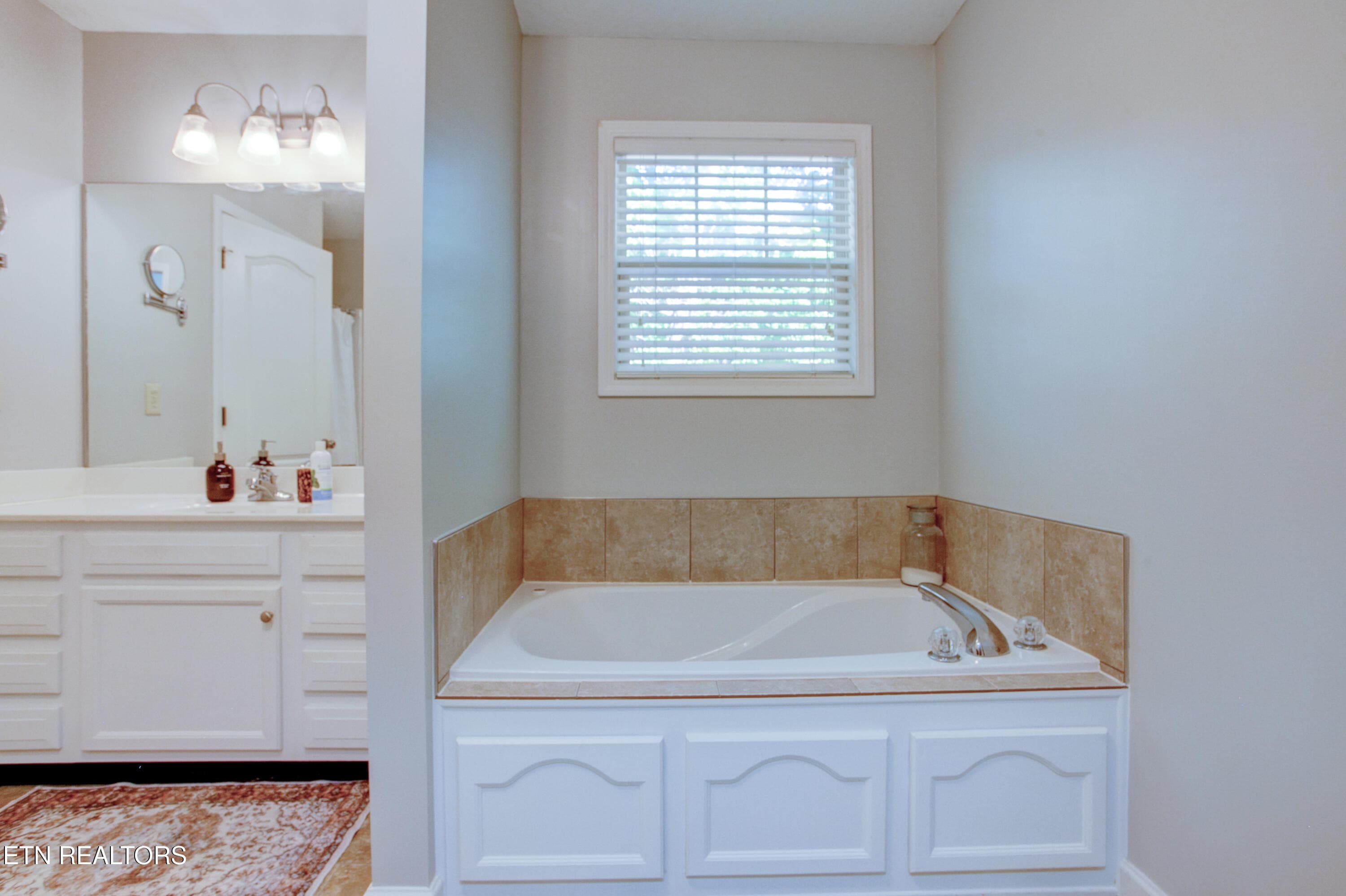 029 - 9931 Thunderbolt Way Ensuite - 9931 Thunderbolt Way, Knoxville, TN 37923, Knoxville