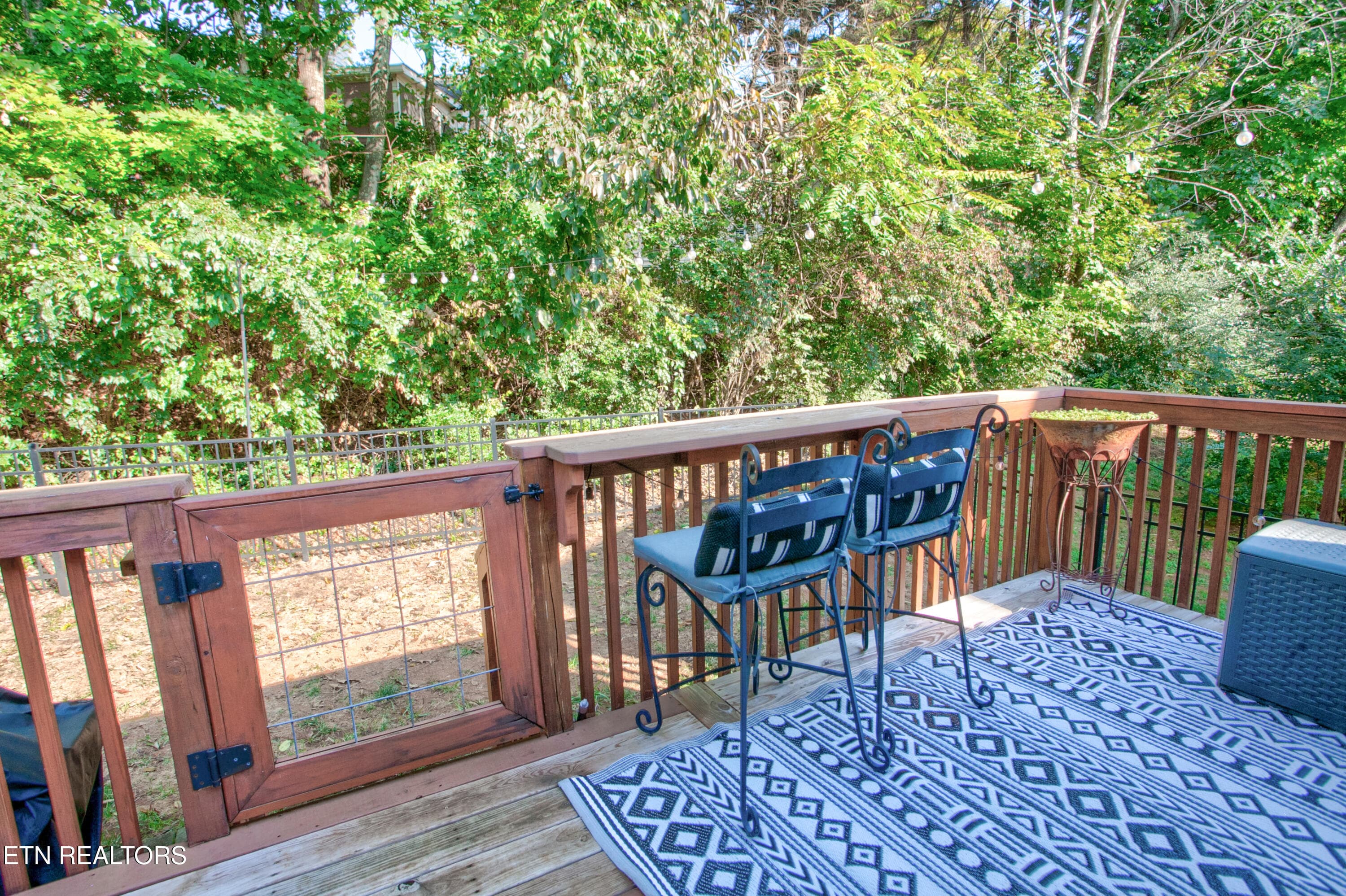 037 - 9931 Thunderbolt Way - 9931 Thunderbolt Way, Knoxville, TN 37923, Knoxville