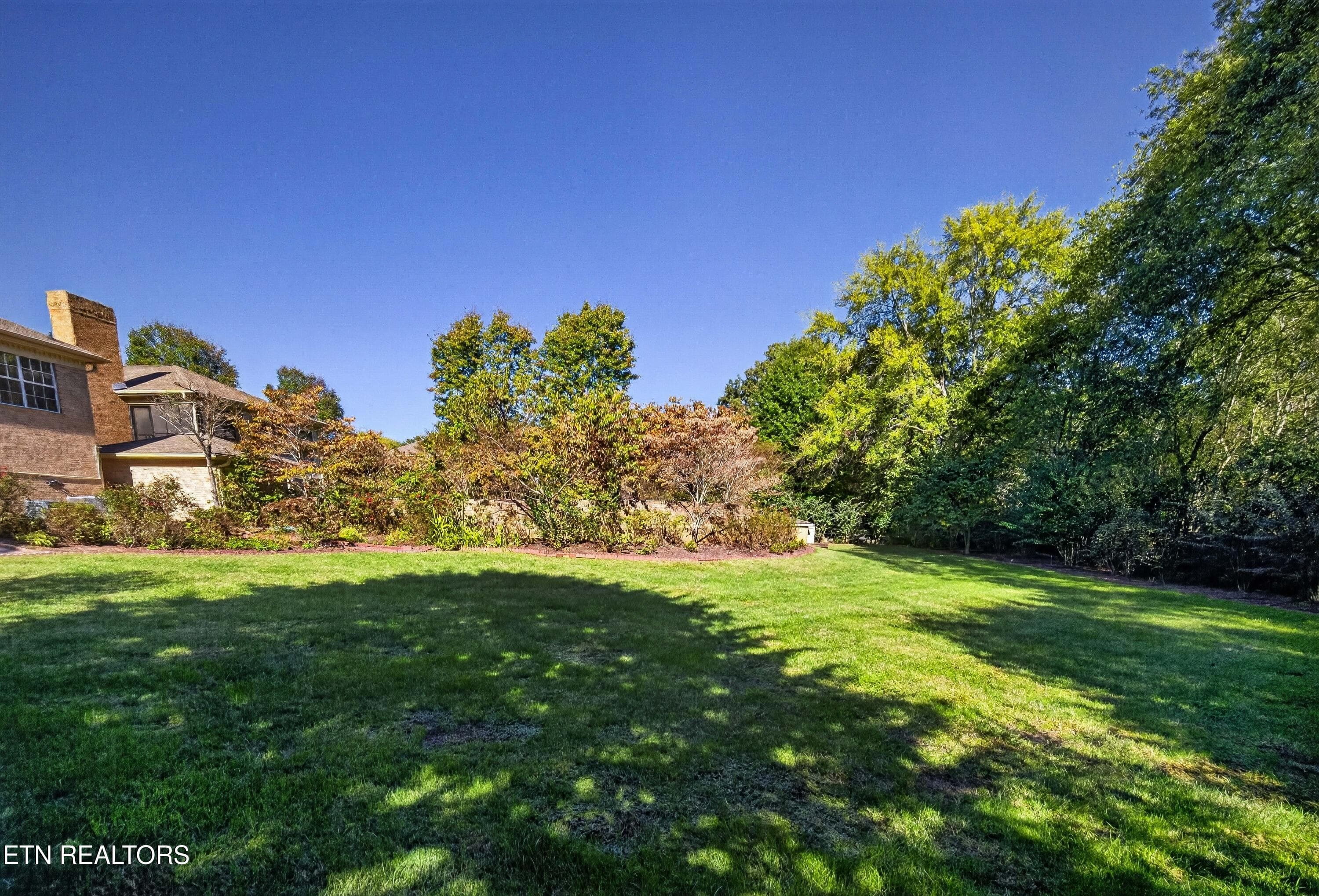 Back Yard - 5504 River Point Cove Rd, Knoxville, TN 37919