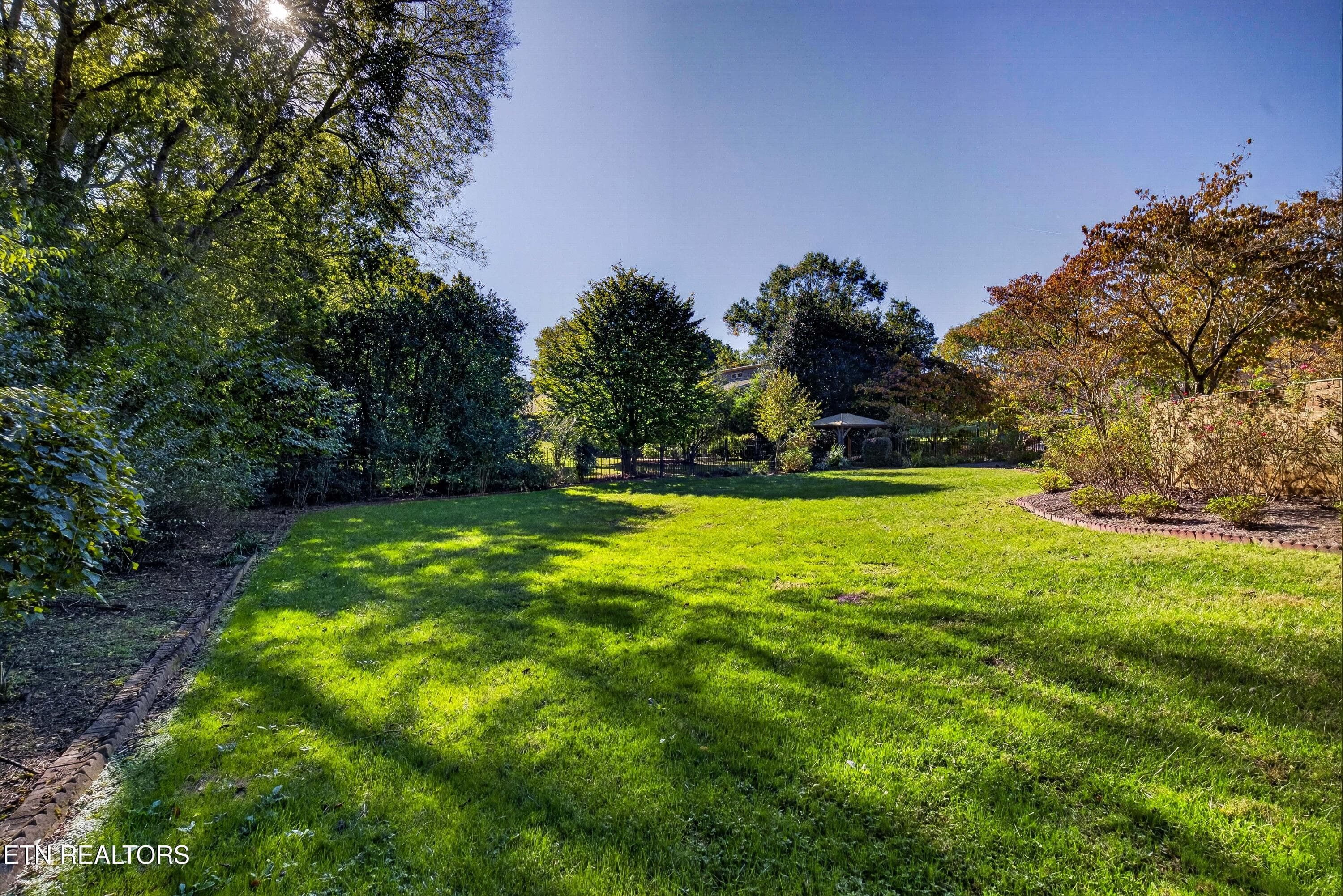 Back Yard - 5504 River Point Cove Rd, Knoxville, TN 37919