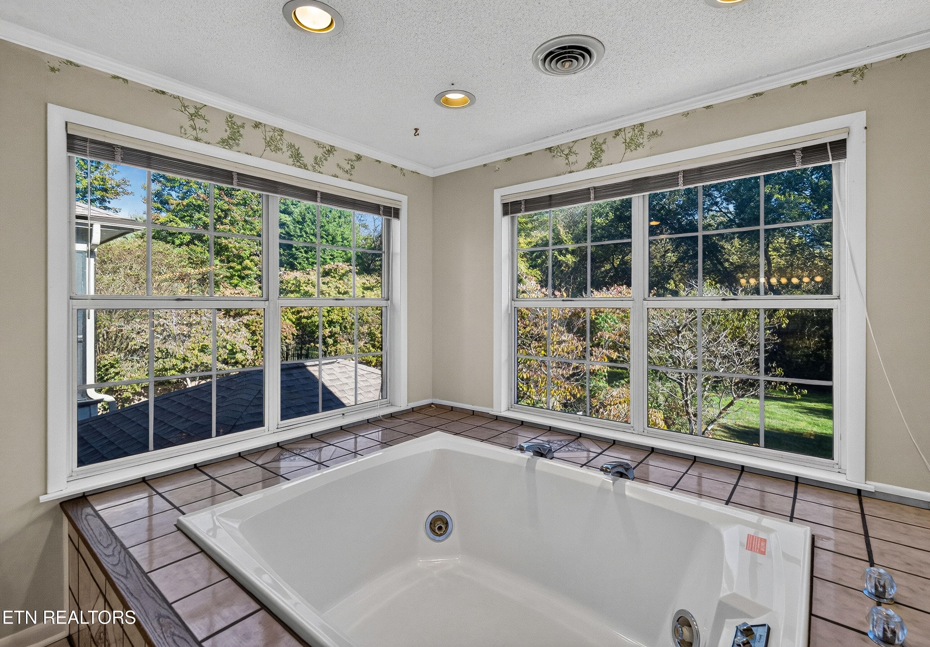 Soaking Tub - 5504 River Point Cove Rd, Knoxville, TN 37919