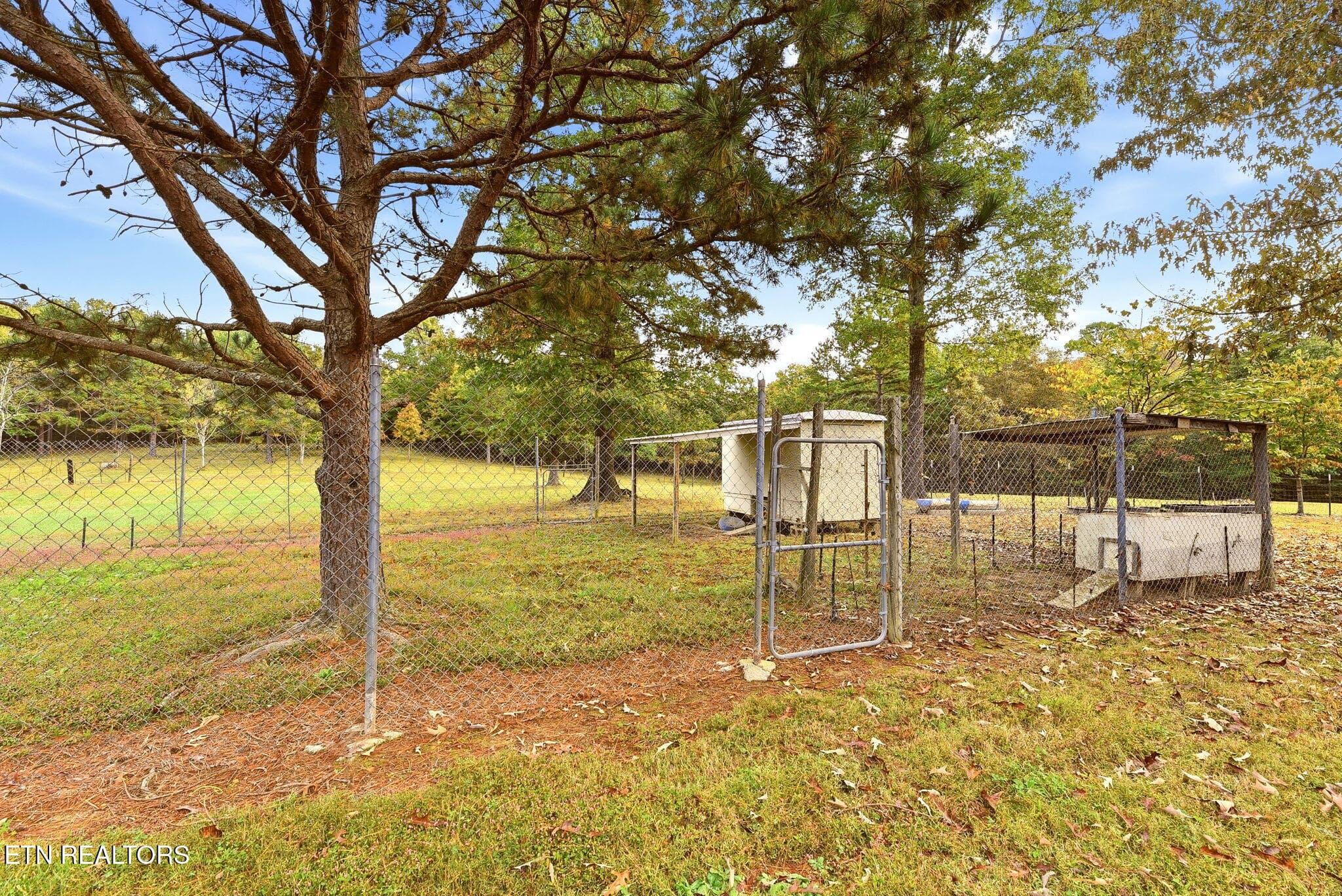 33-web-or-mls-DSC_1076 - 446 Arnolds Way, Crossville, TN 38571, Crossville