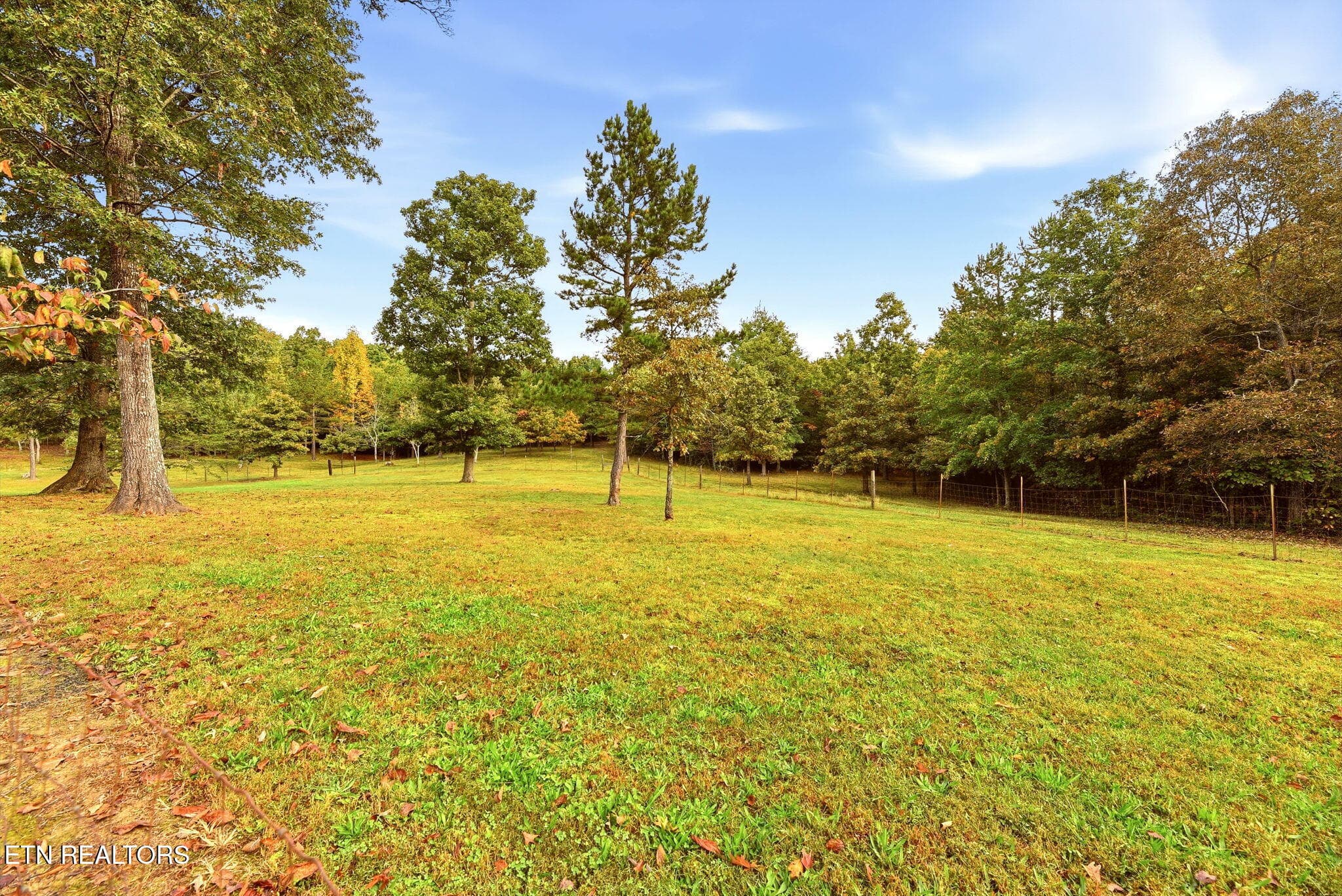 35-web-or-mls-DSC_1082 - 446 Arnolds Way, Crossville, TN 38571, Crossville