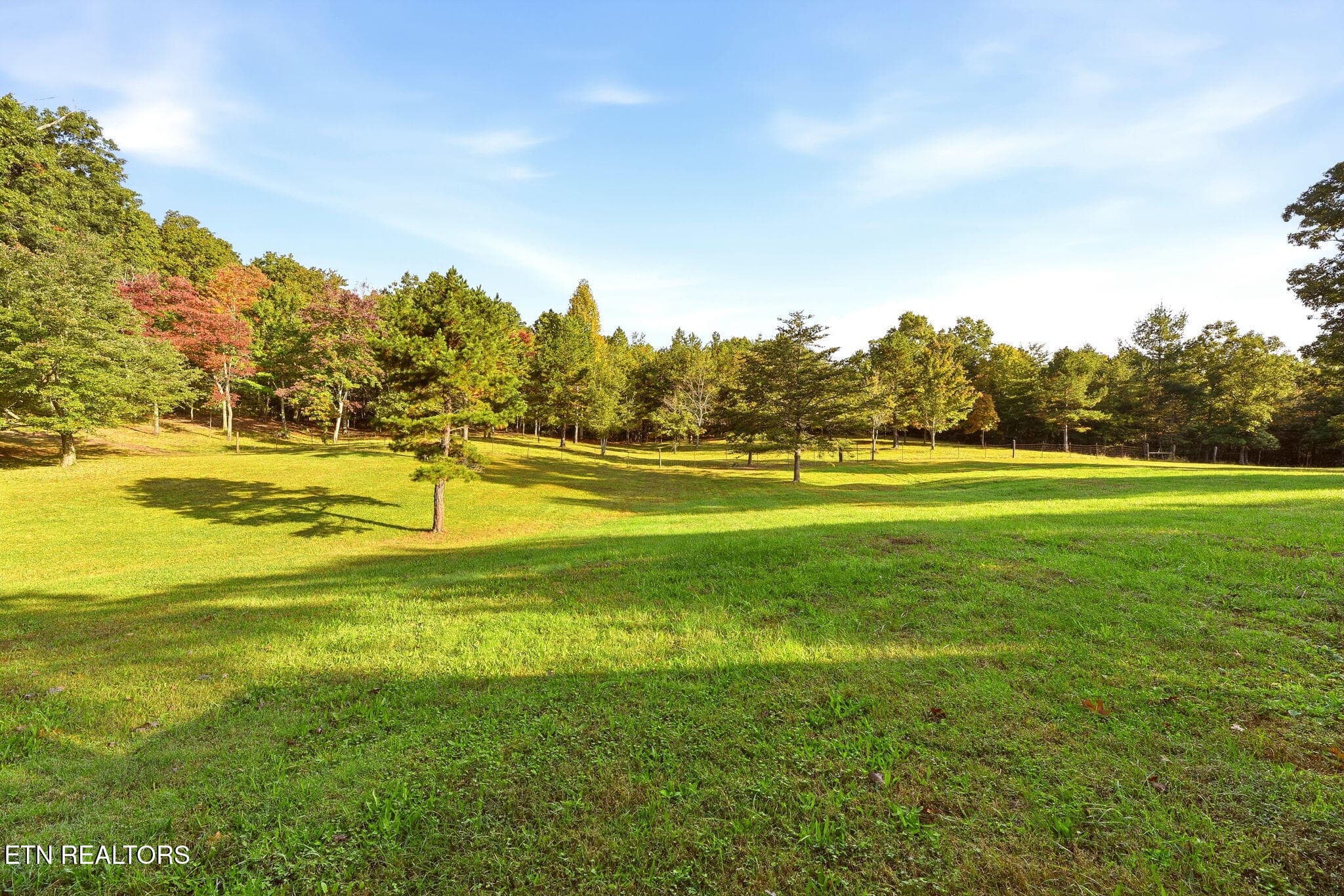 39-web-or-mls-DSC_1154 - 446 Arnolds Way, Crossville, TN 38571, Crossville