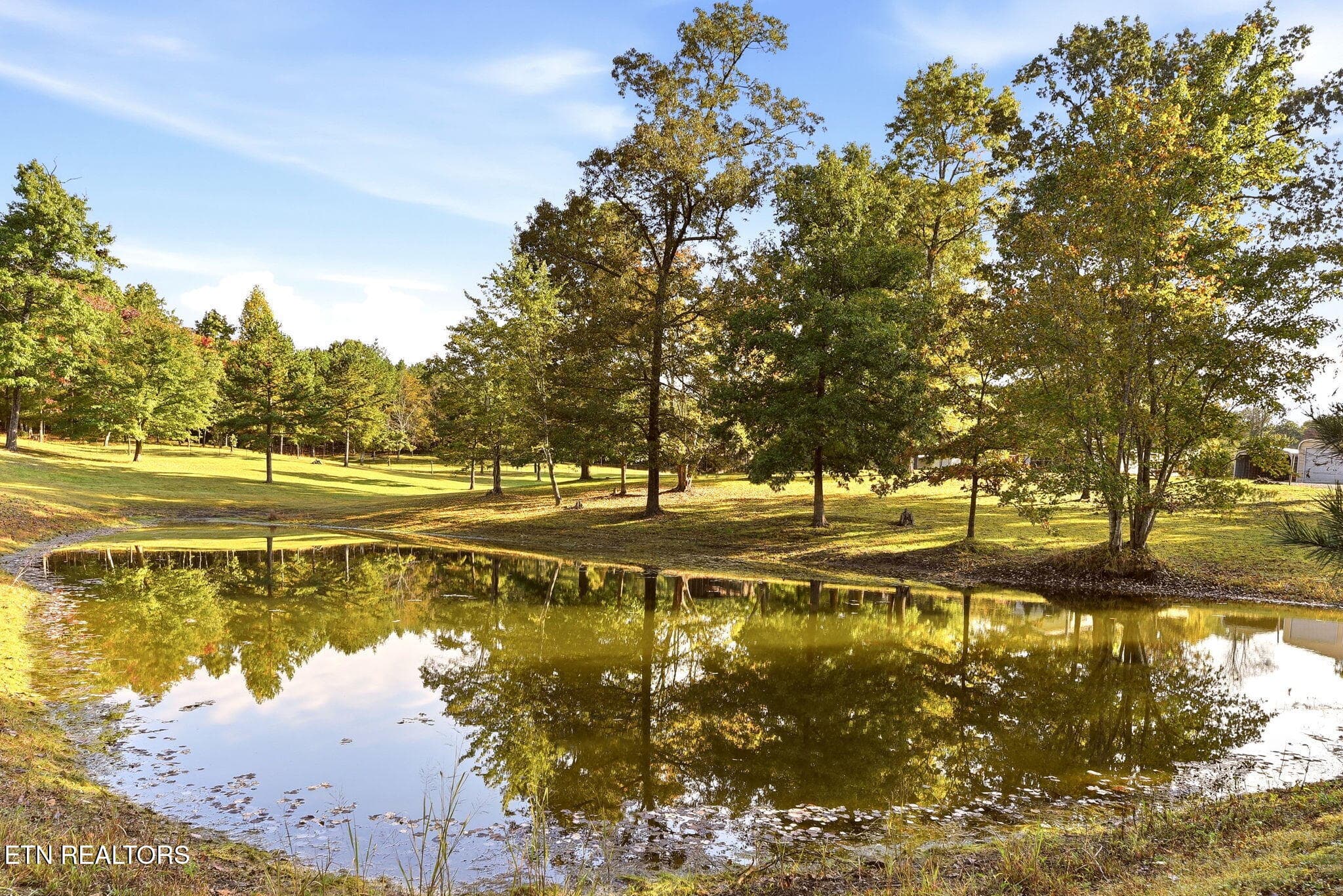 41-web-or-mls-DSC_1163 - 446 Arnolds Way, Crossville, TN 38571, Crossville