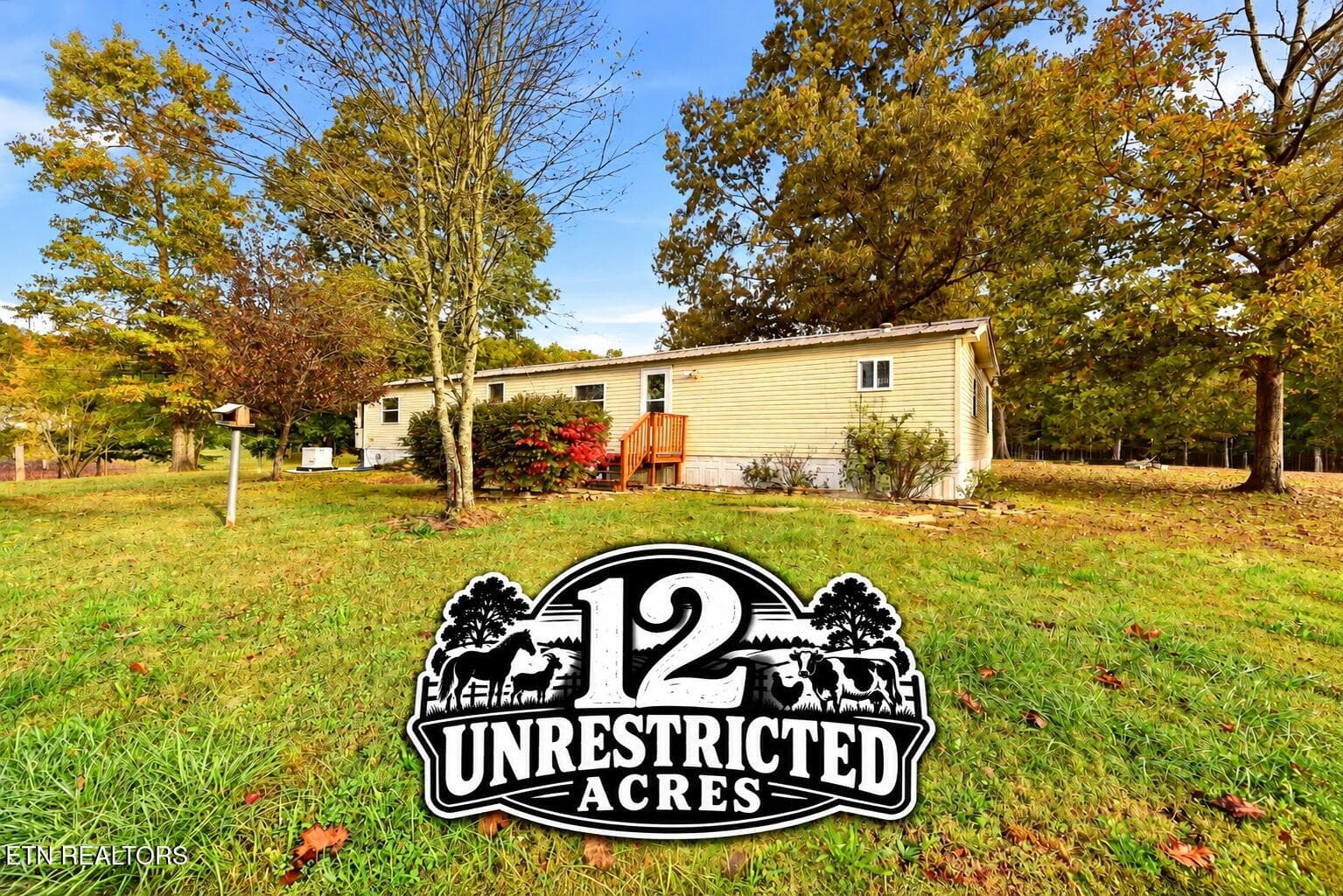 12 Unrestricted Acres in Autumn - 446 Arnolds Way, Crossville, TN 38571, Crossville
