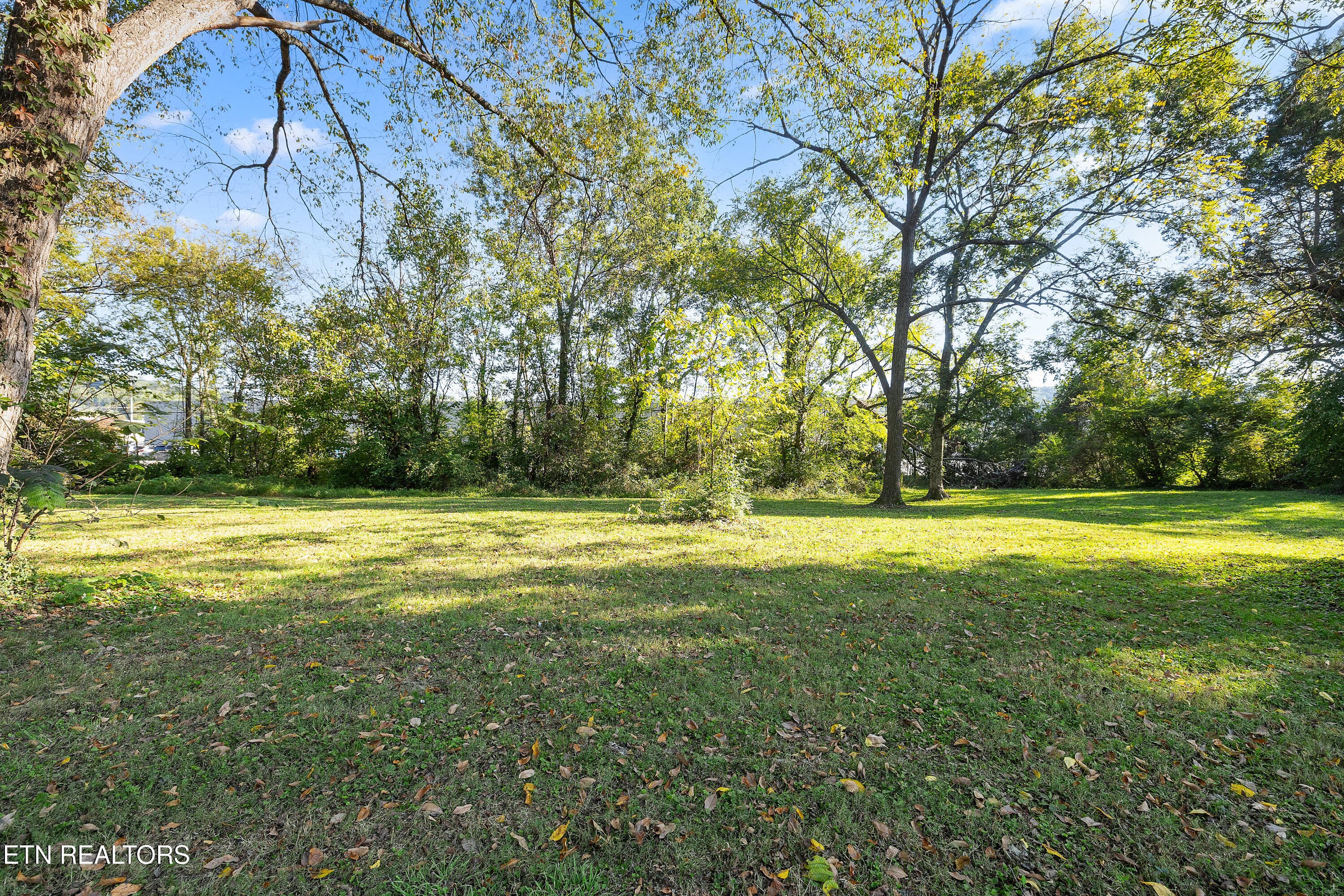 Positive Perceptions-35 - 2622 Woodrow Drive, Knoxville, TN 37918, Knoxville