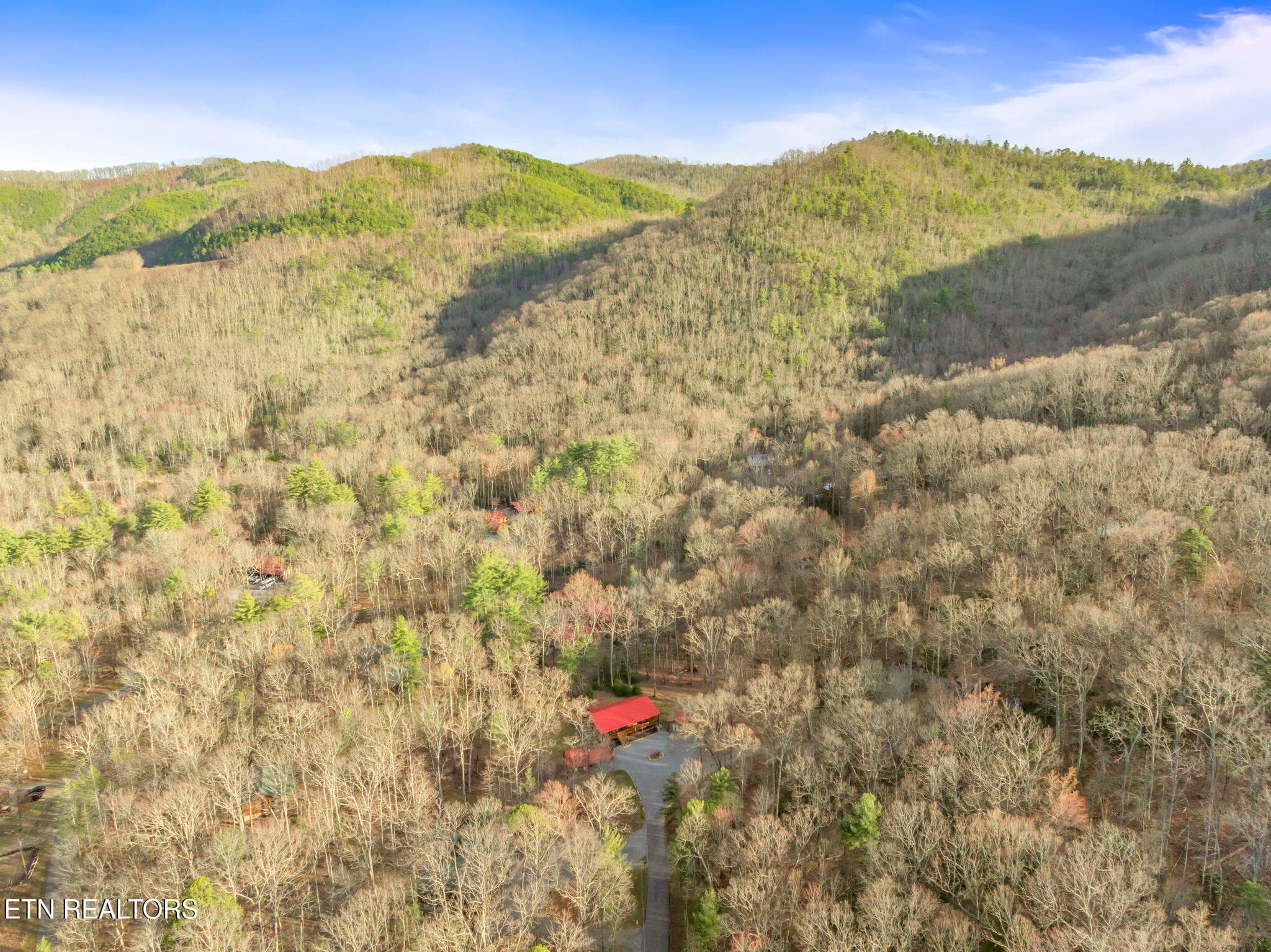 60-web-or-mls-3394 Laurelwood Road-60 - 3394 Laurelwood Rd, Cosby, TN 37722