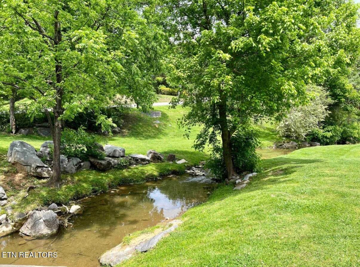 IMG_2853 - 1836 Trout Way, Sevierville, TN 37862, Sevierville