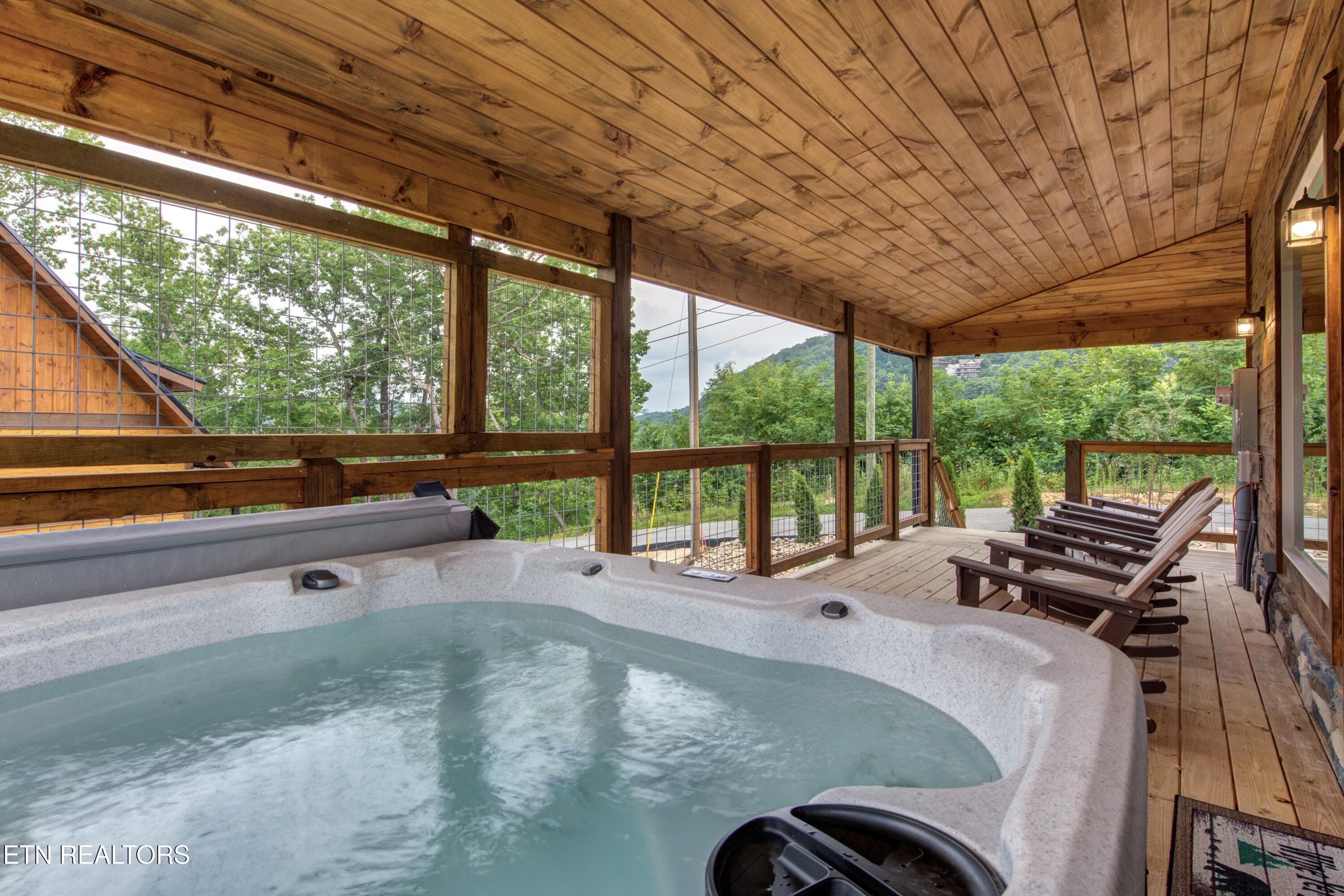 3-04_FriendsinBearPlaces - 466 Loop Rd, Gatlinburg, TN 37738, Gatlinburg