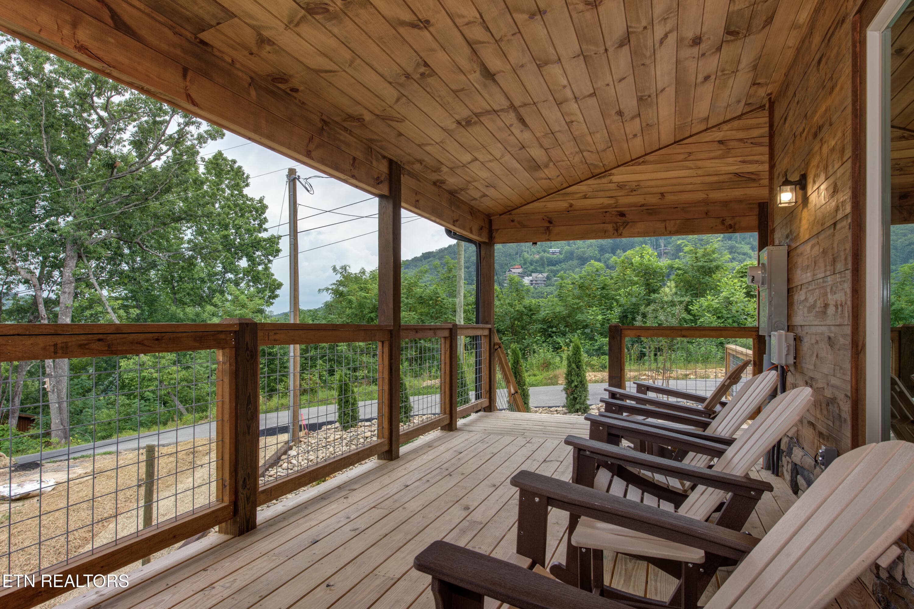 4-05_FriendsinBearPlaces - 466 Loop Rd, Gatlinburg, TN 37738, Gatlinburg