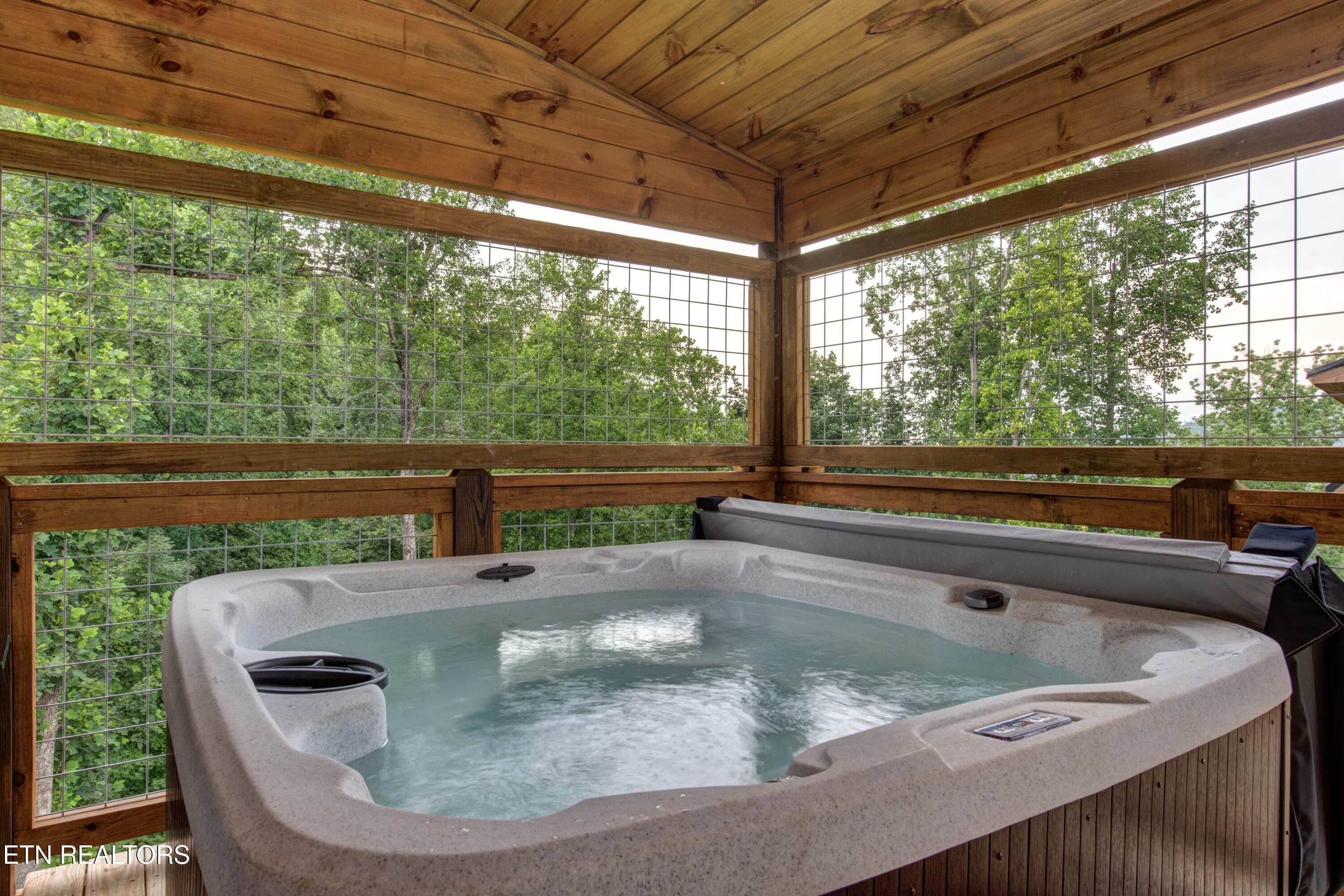 8-02_FriendsinBearPlaces - 466 Loop Rd, Gatlinburg, TN 37738, Gatlinburg