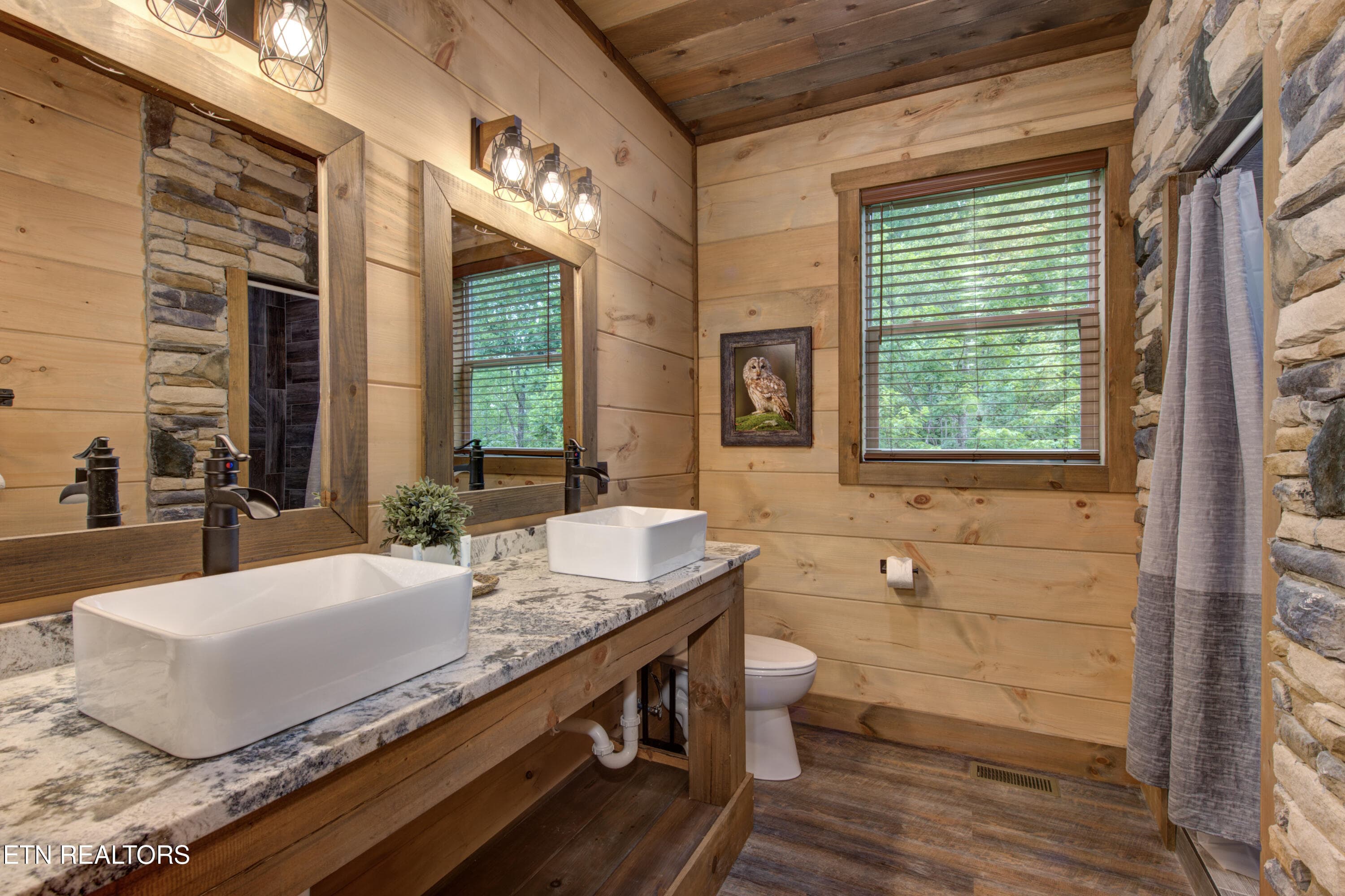 21-21_FriendsinBearPlaces - 466 Loop Rd, Gatlinburg, TN 37738, Gatlinburg