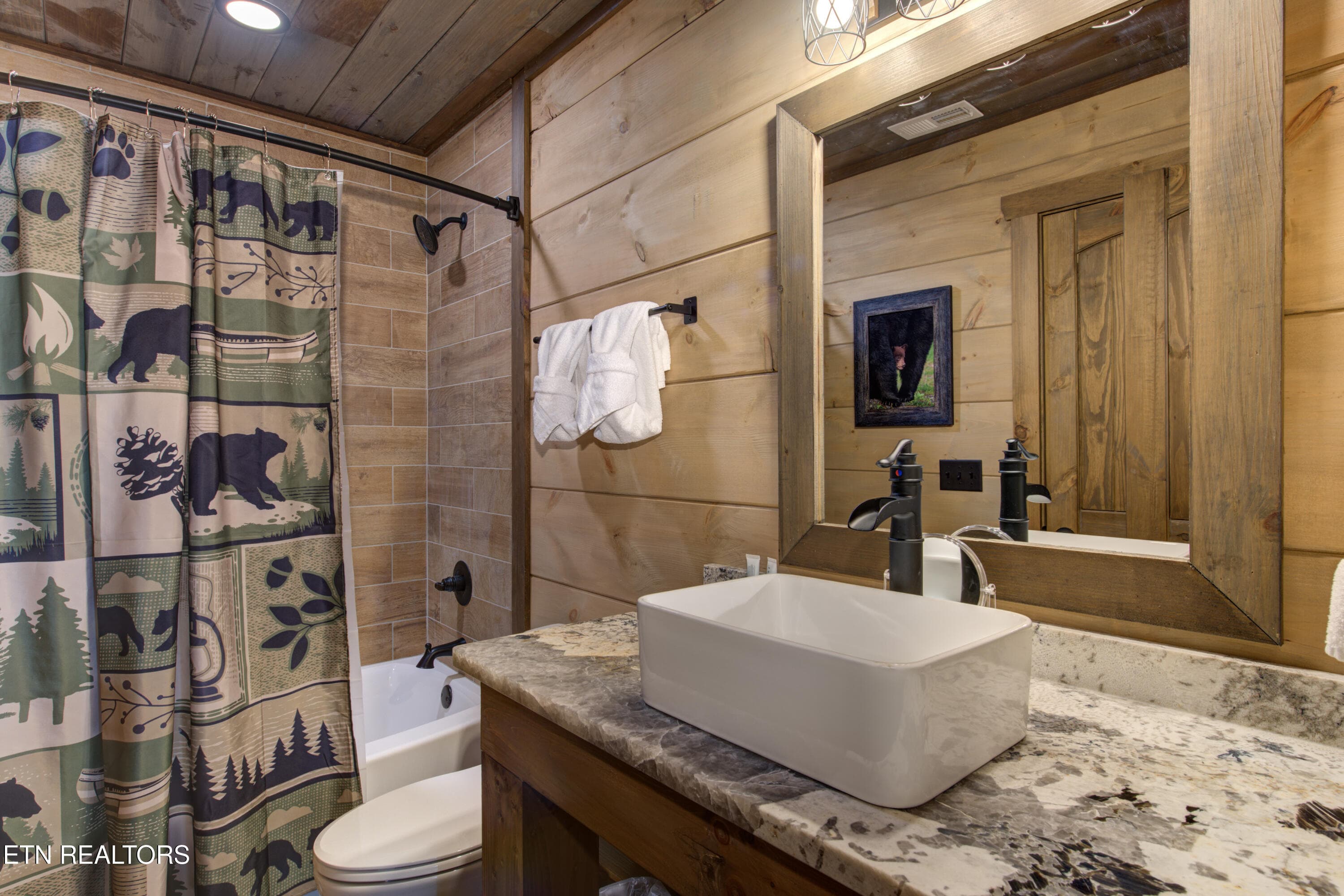 32-32_FriendsinBearPlaces - 466 Loop Rd, Gatlinburg, TN 37738, Gatlinburg