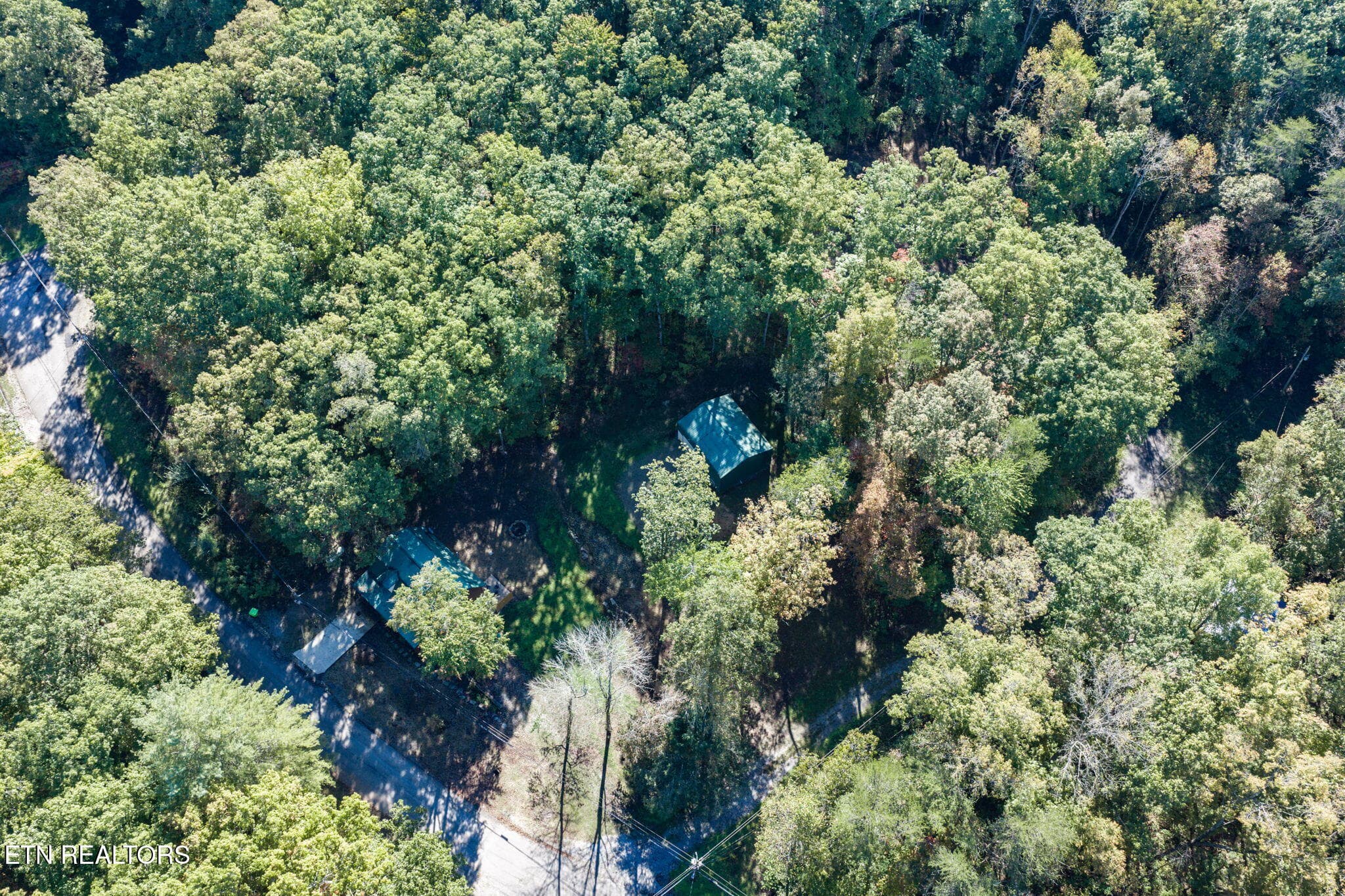 50-web-or-mls-279 Siever Rd_245_TNPC - 279 Siever Rd, Crossville, TN 38572