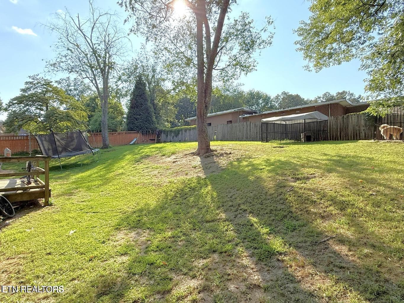 10_Backyard - 151 Finley Drive, Lenoir City, TN 37771, Lenoir City