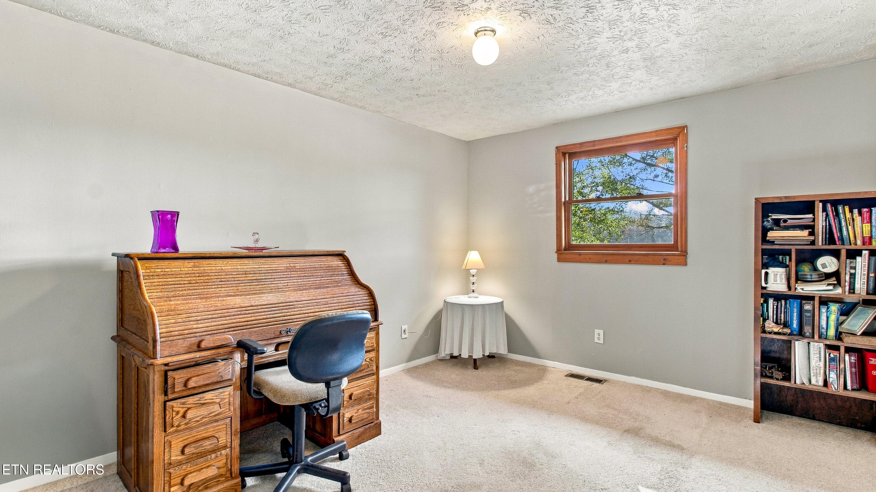 bellview-26 - 353 Bell View Rd, Greenback, TN 37742, Greenback
