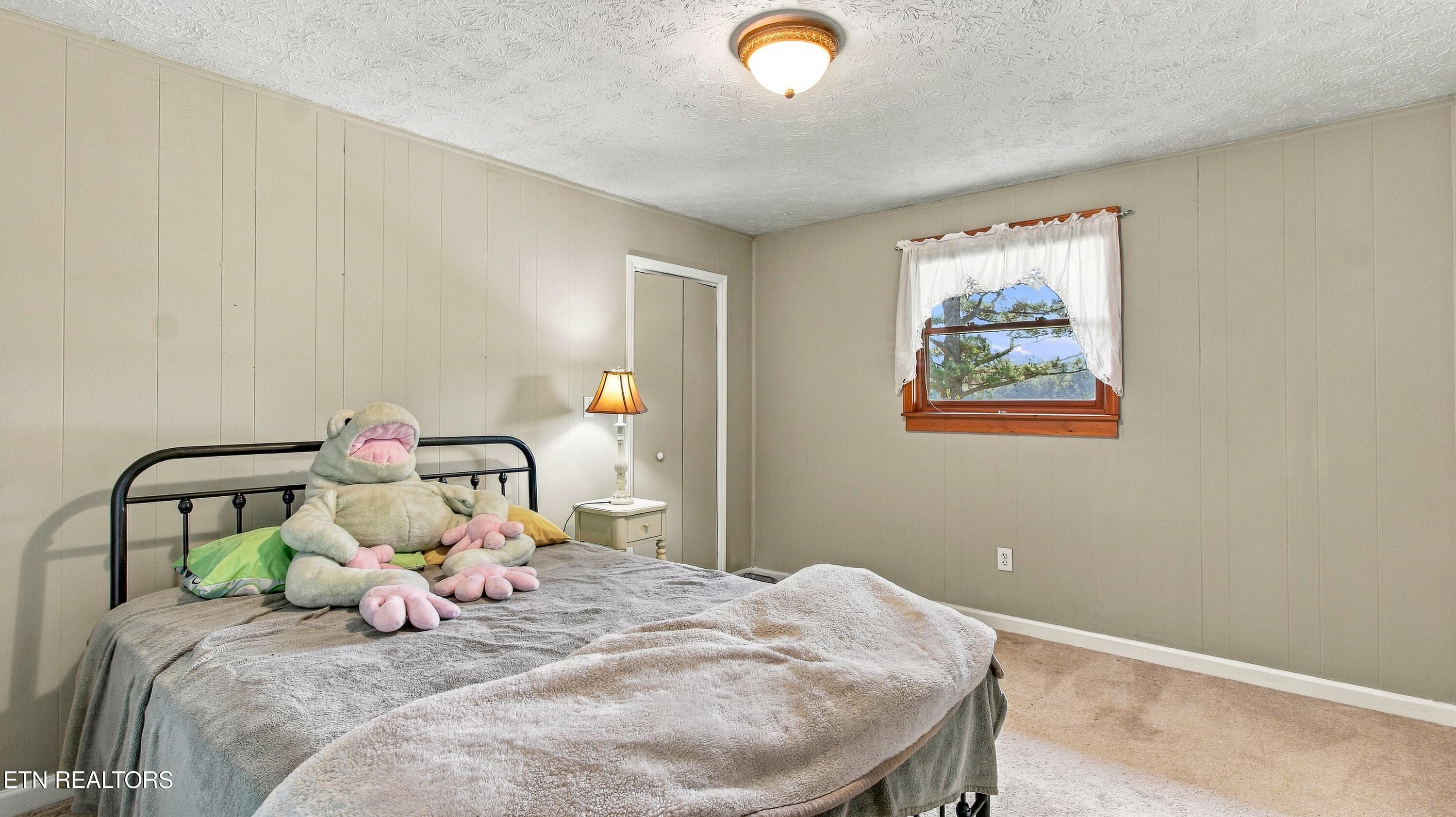 bellview-30 - 353 Bell View Rd, Greenback, TN 37742, Greenback