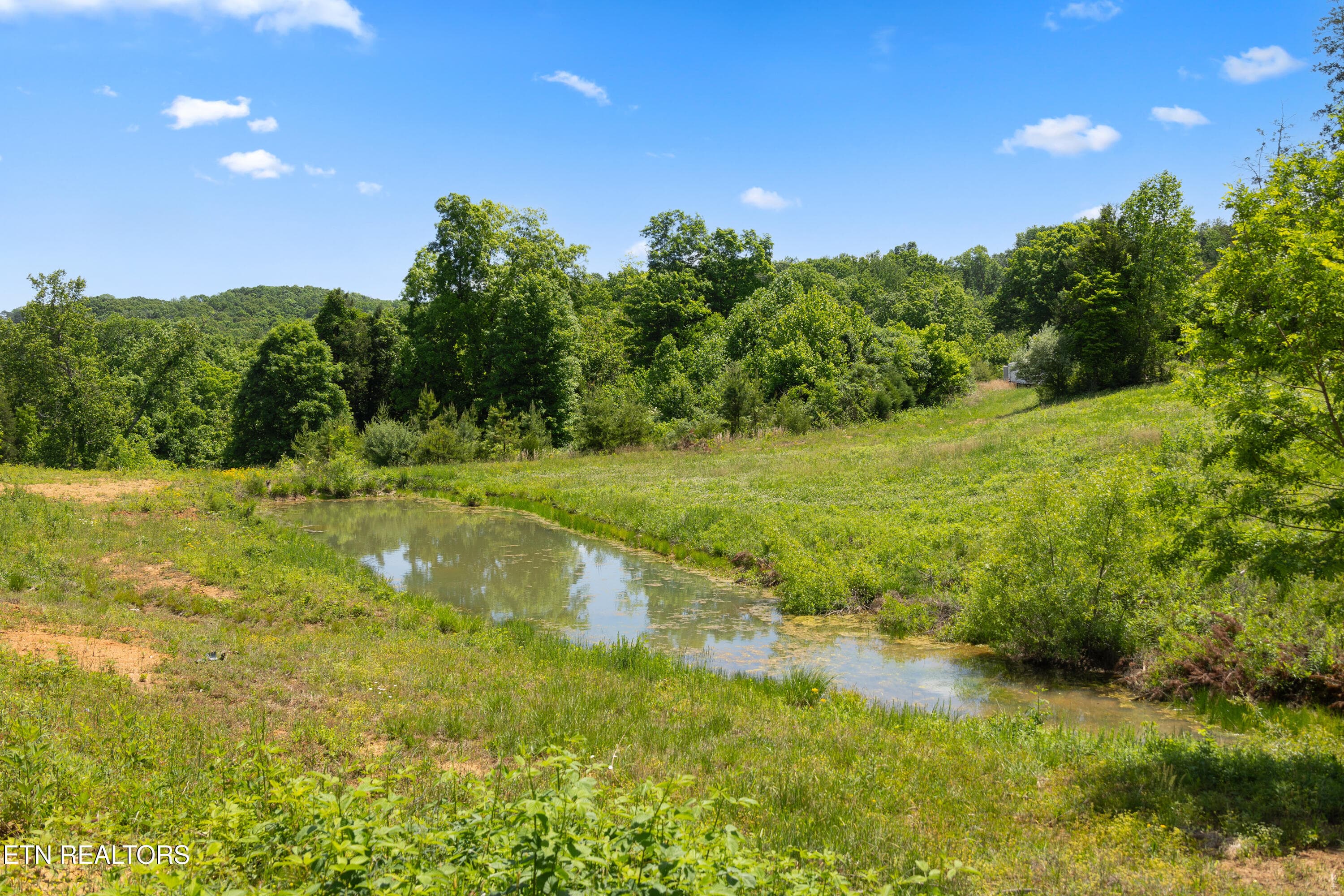 Positive Perceptions-20 - 0 Williams Bend Rd 44.45 Acres, Knoxville, TN 37932