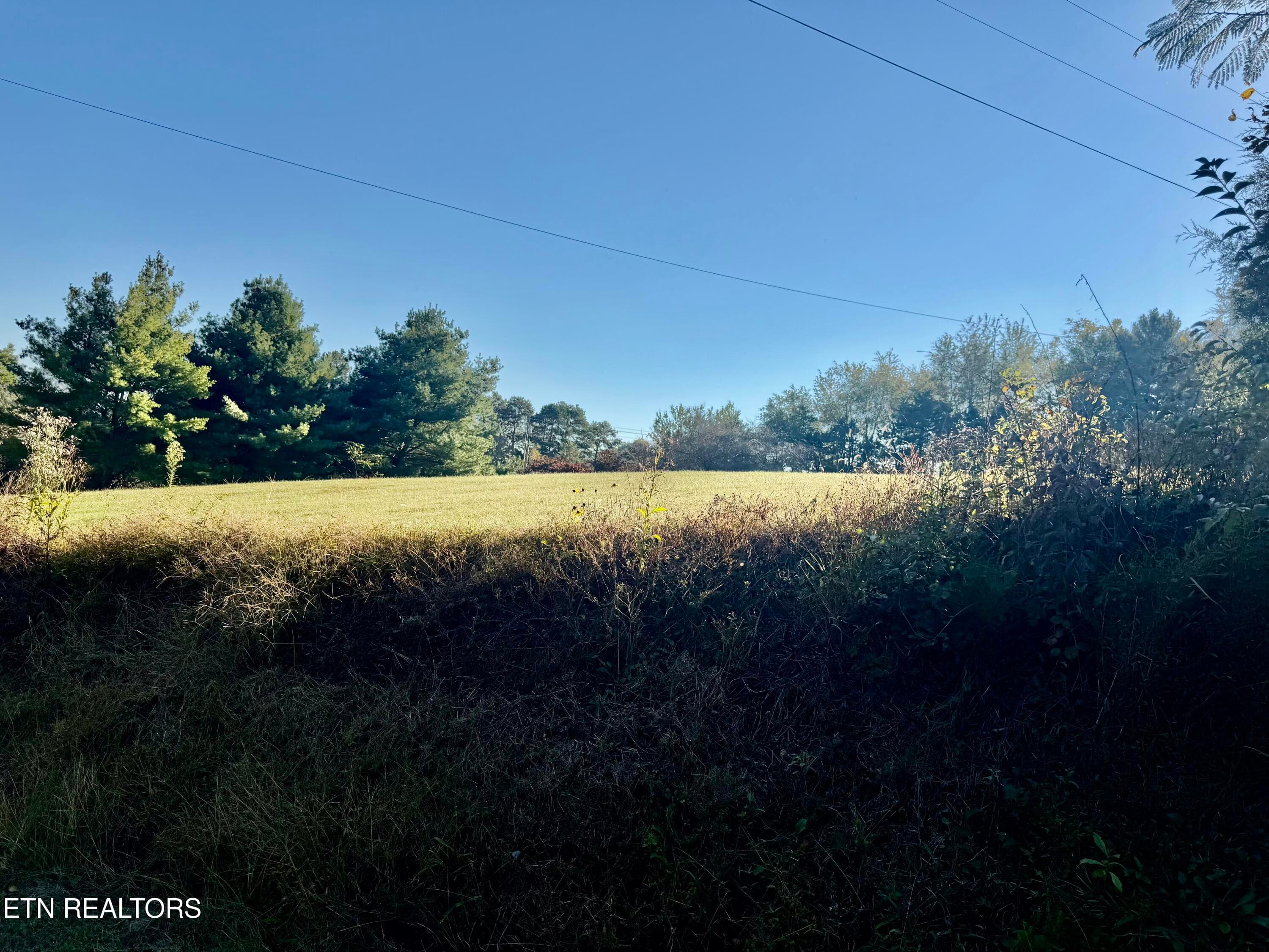 IMG_6376 - Snodgrass Rd 094 046.13, New Tazewell, TN 37825
