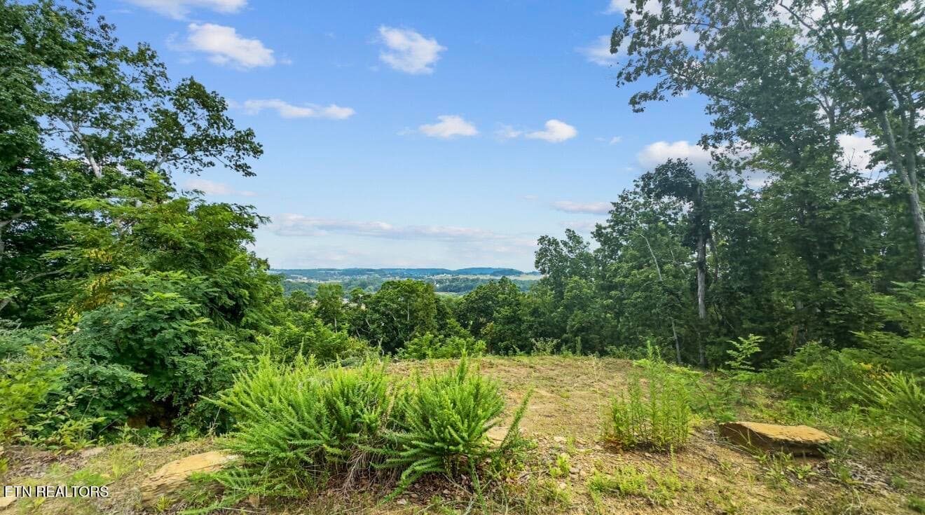 IMG_7028 - 2345 Paradise Way, Sevierville, TN 37876