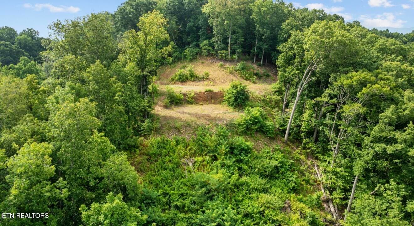 IMG_7043 - 2345 Paradise Way, Sevierville, TN 37876