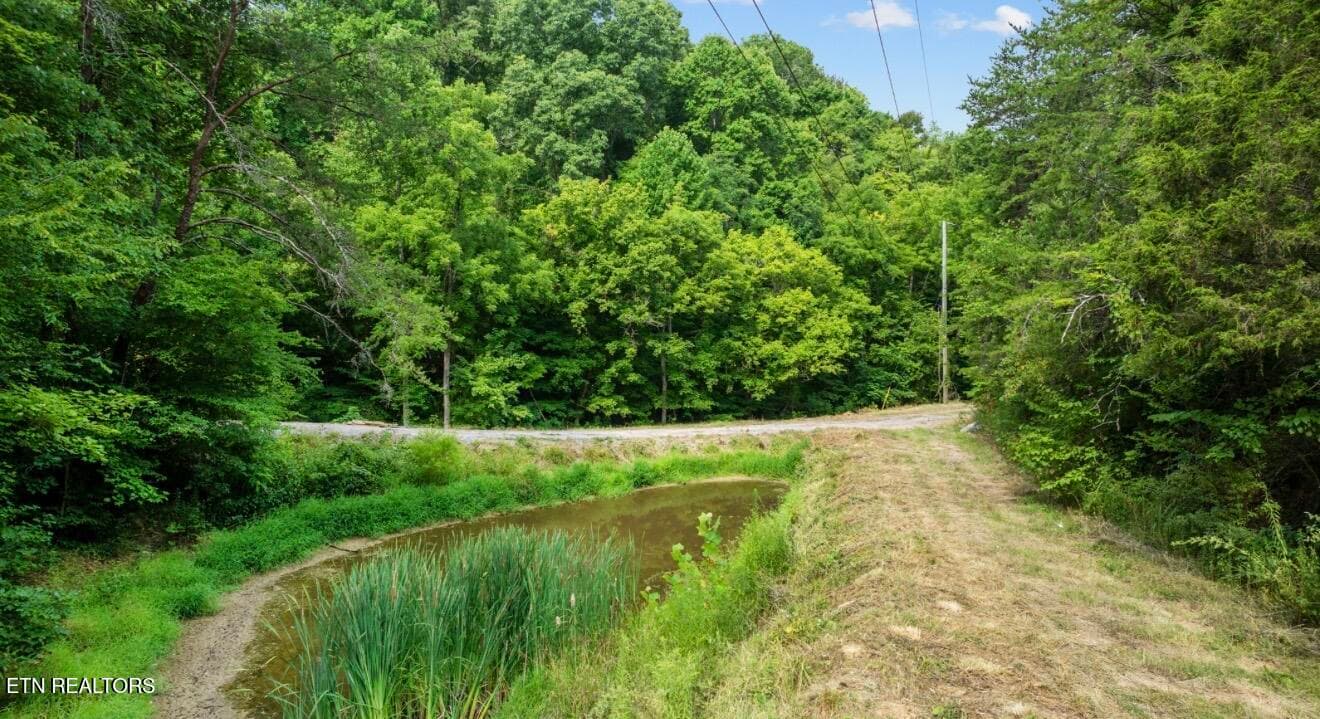 IMG_7046 - 2345 Paradise Way, Sevierville, TN 37876