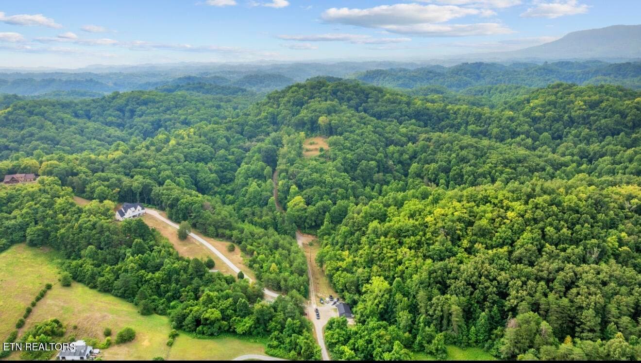 IMG_7041 - 2345 Paradise Way, Sevierville, TN 37876