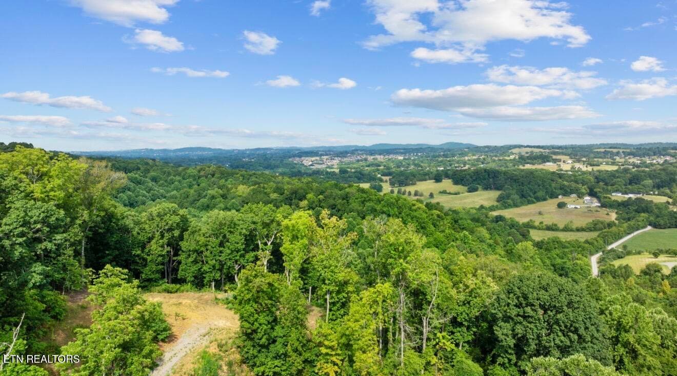 IMG_7036 - 2345 Paradise Way, Sevierville, TN 37876