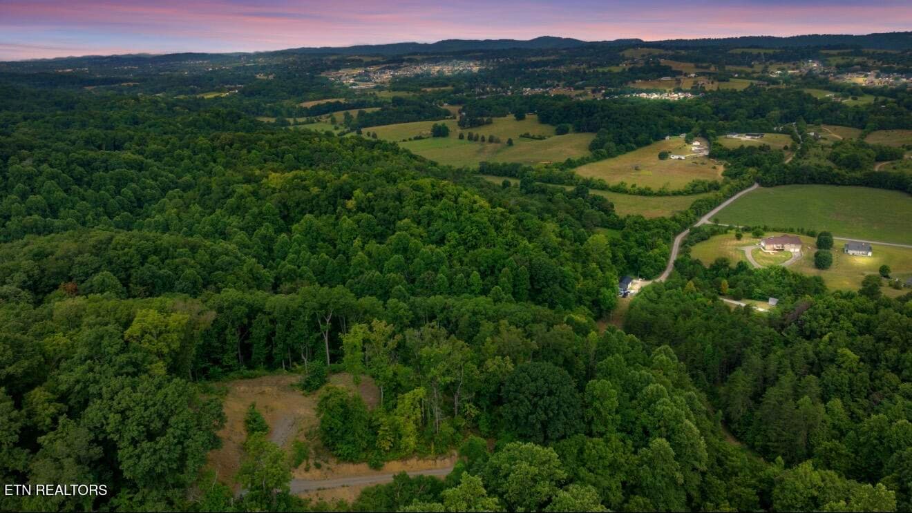 IMG_7035 - 2345 Paradise Way, Sevierville, TN 37876