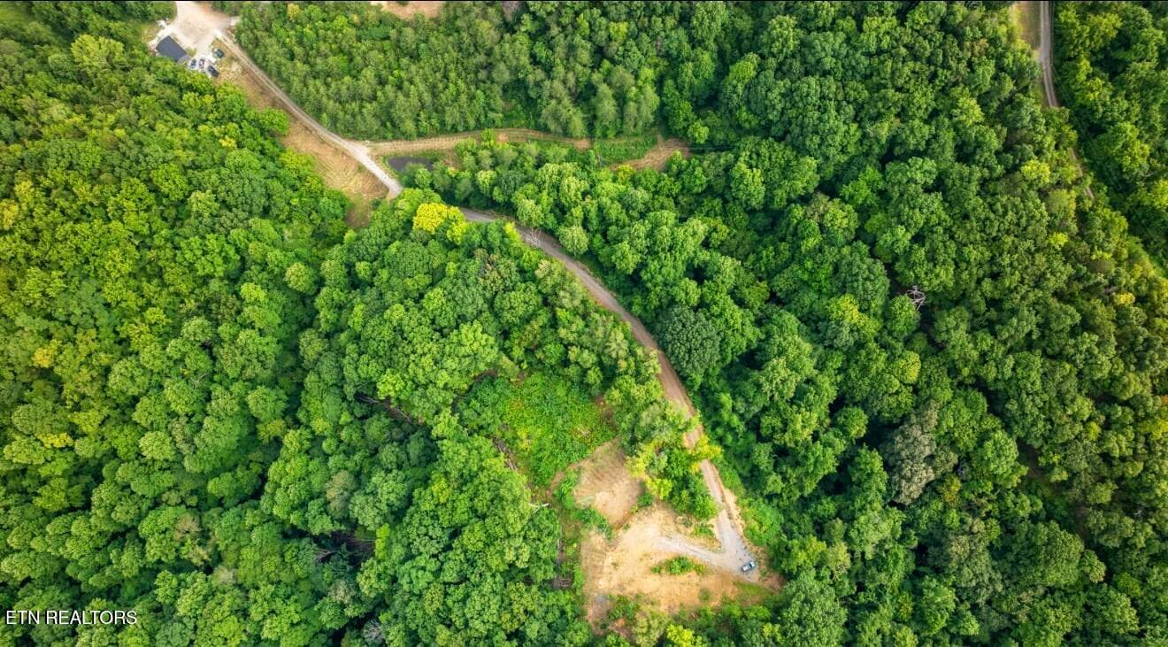 IMG_7033 - 2345 Paradise Way, Sevierville, TN 37876