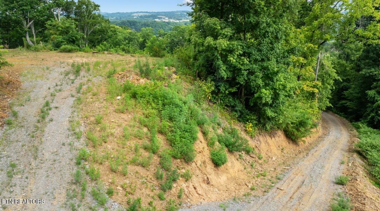 IMG_7032 - 2345 Paradise Way, Sevierville, TN 37876