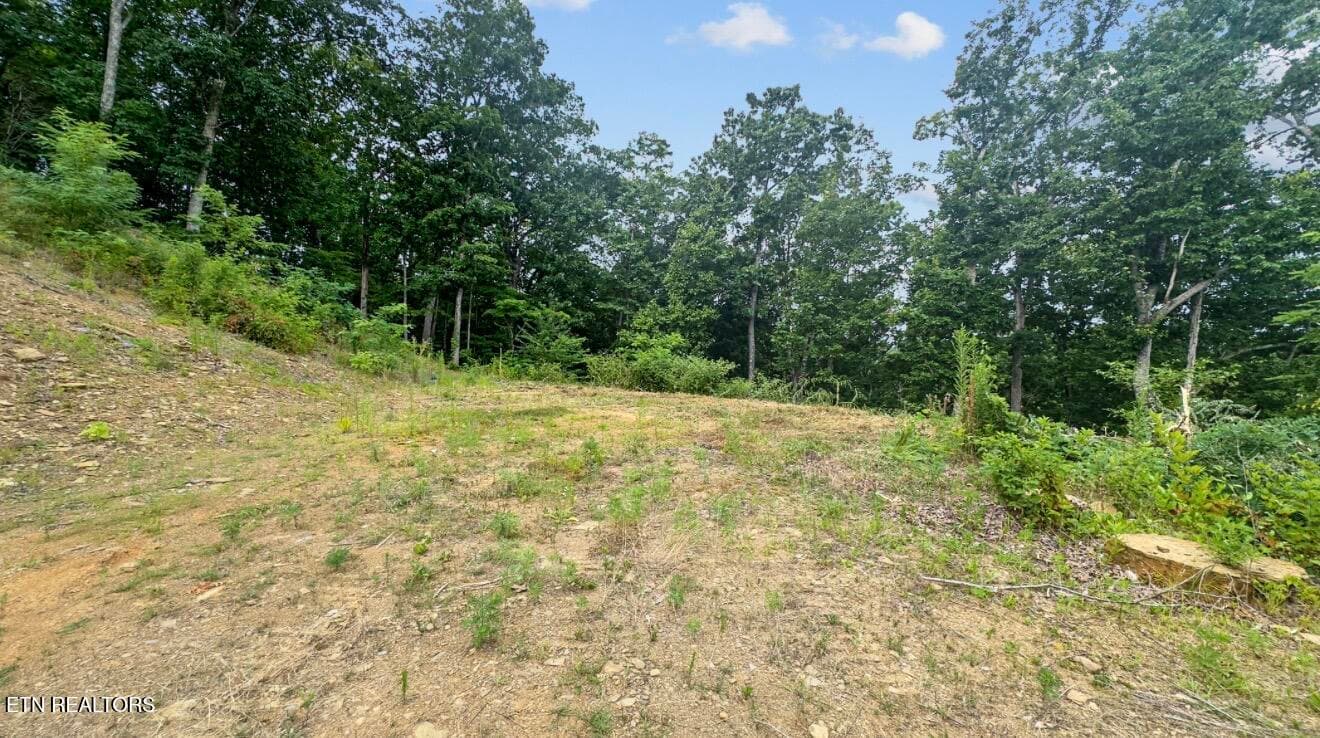 IMG_7030 - 2345 Paradise Way, Sevierville, TN 37876