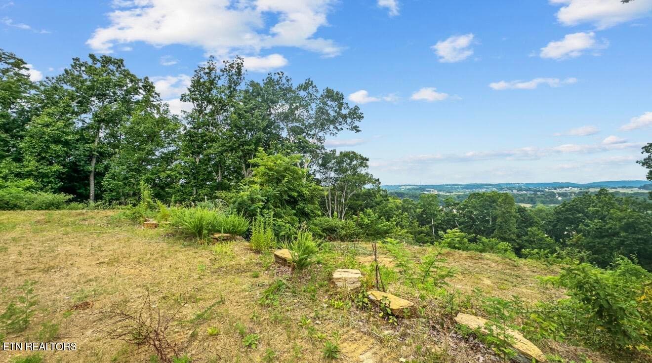 IMG_7029 - 2345 Paradise Way, Sevierville, TN 37876