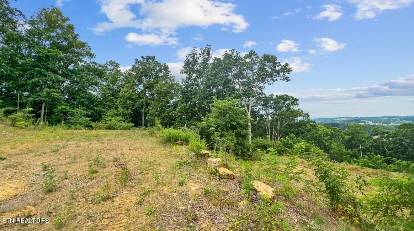 IMG_7027 - 2345 Paradise Way, Sevierville, TN 37876