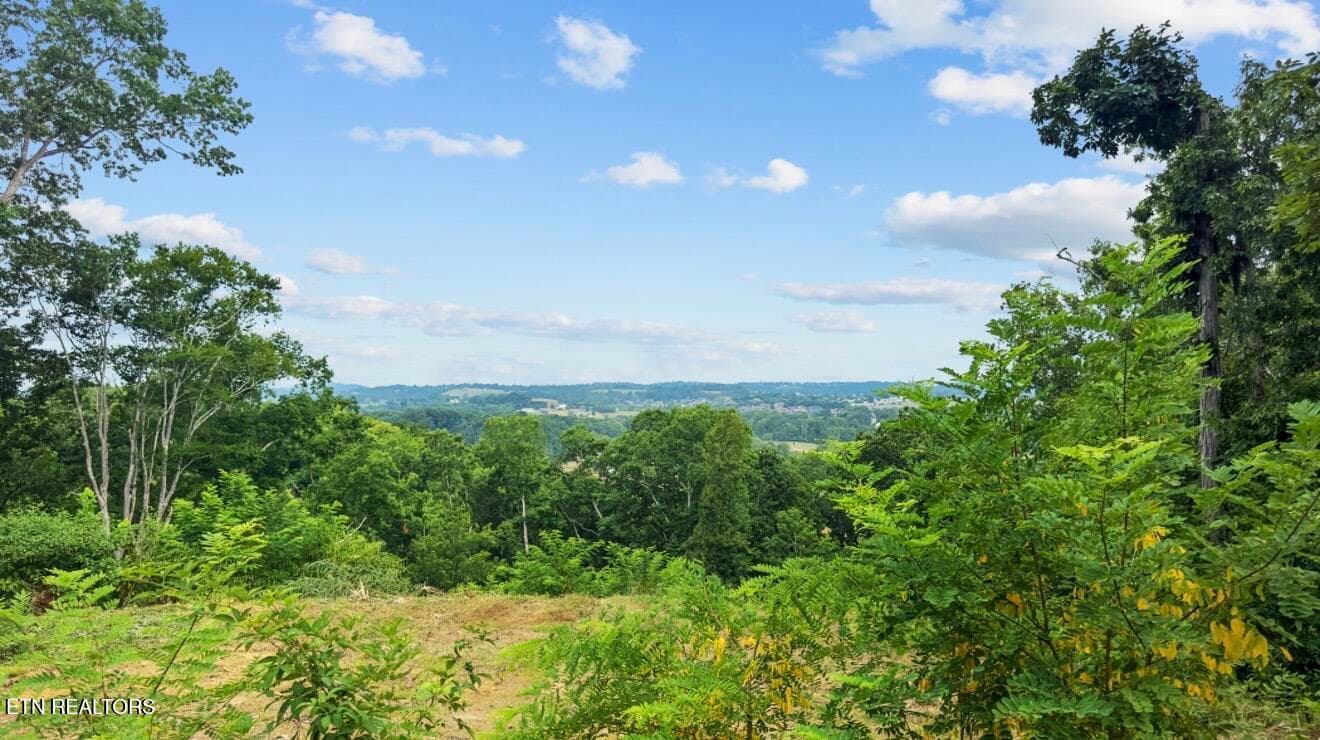 IMG_7026 - 2345 Paradise Way, Sevierville, TN 37876